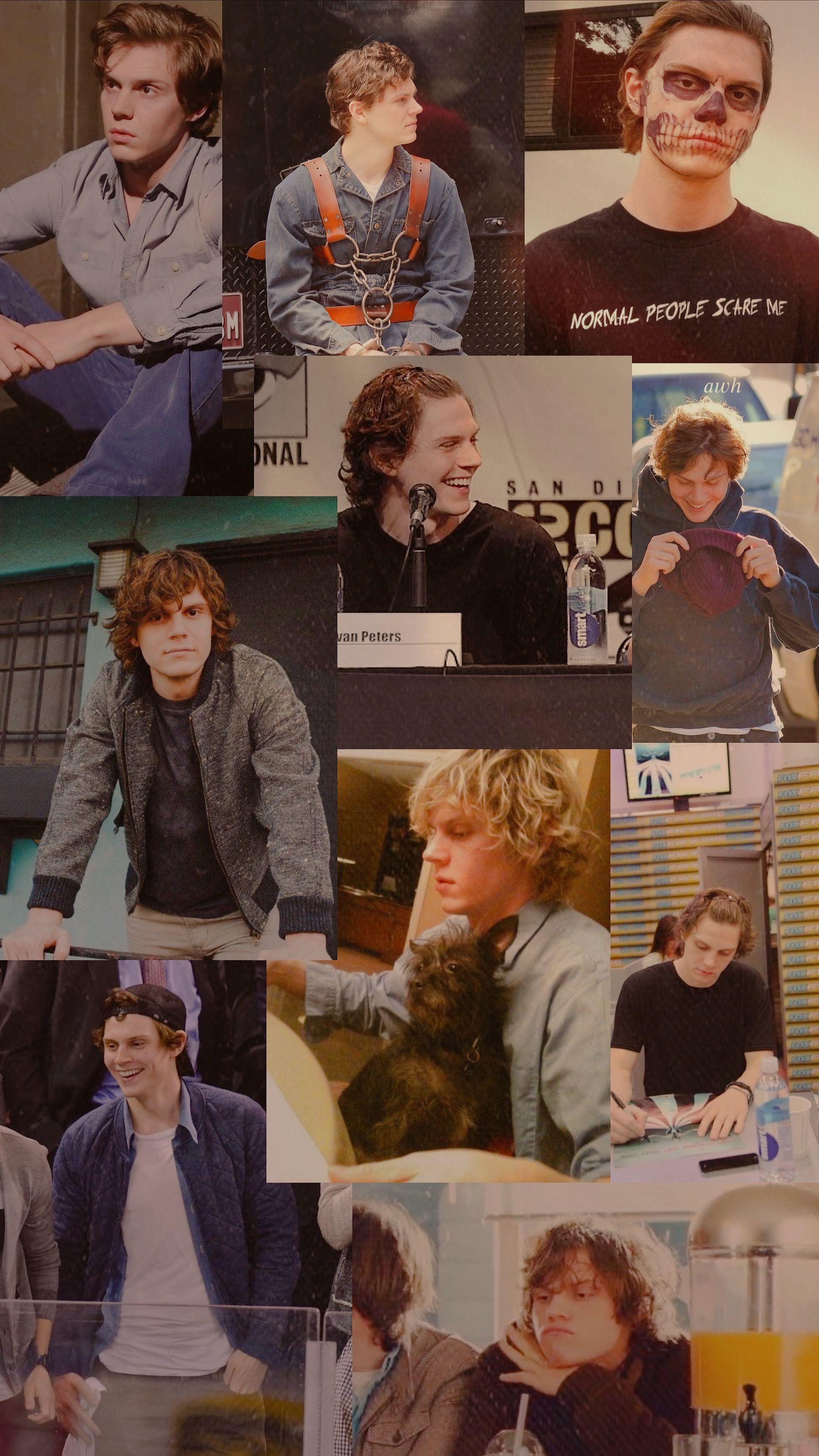 Collage of evan peters from american horror story and the loft - Evan Peters