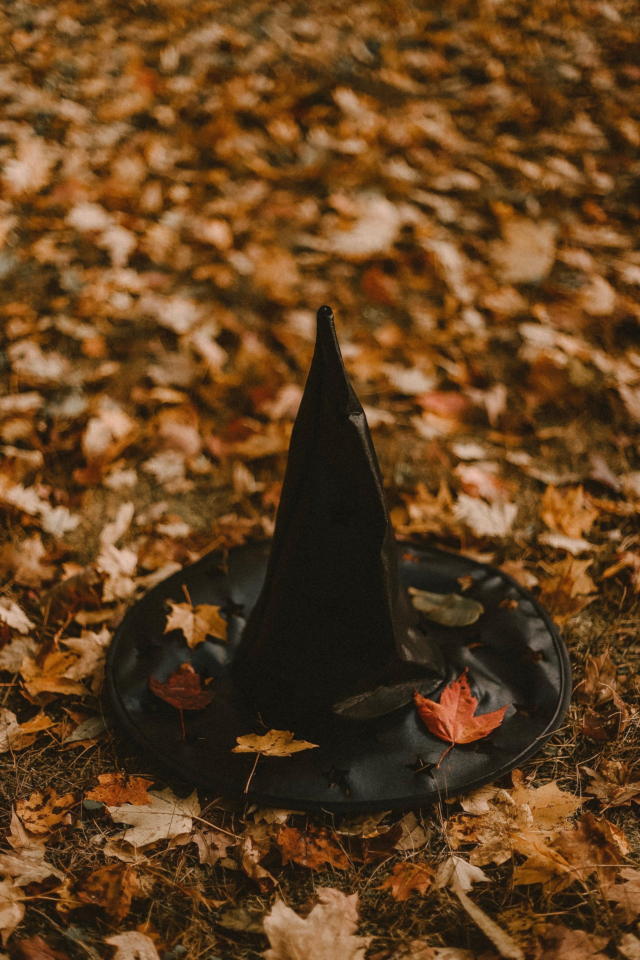 A black hat sitting on top of leaves - Fall iPhone, witch, fall