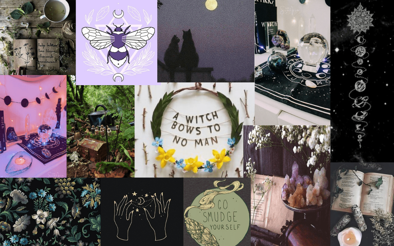 A collage of witchy images including a bee, a moon, and the phrase 