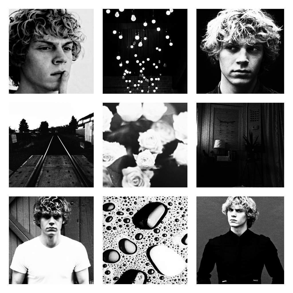 A collage of nine black and white photos of Evan Peters. - Evan Peters