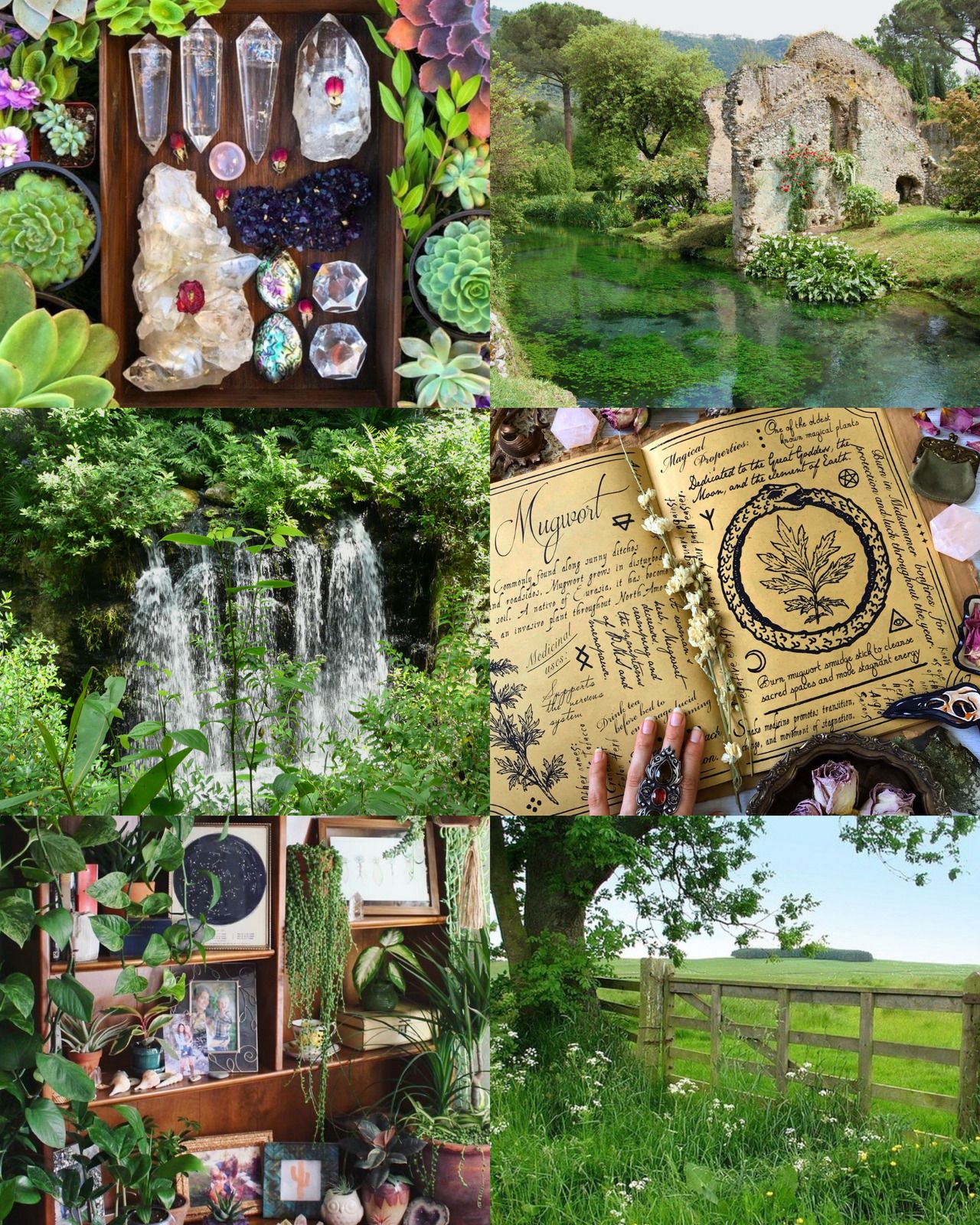 A collage of images including a book, crystals, a garden, a river, and a book. - Witch