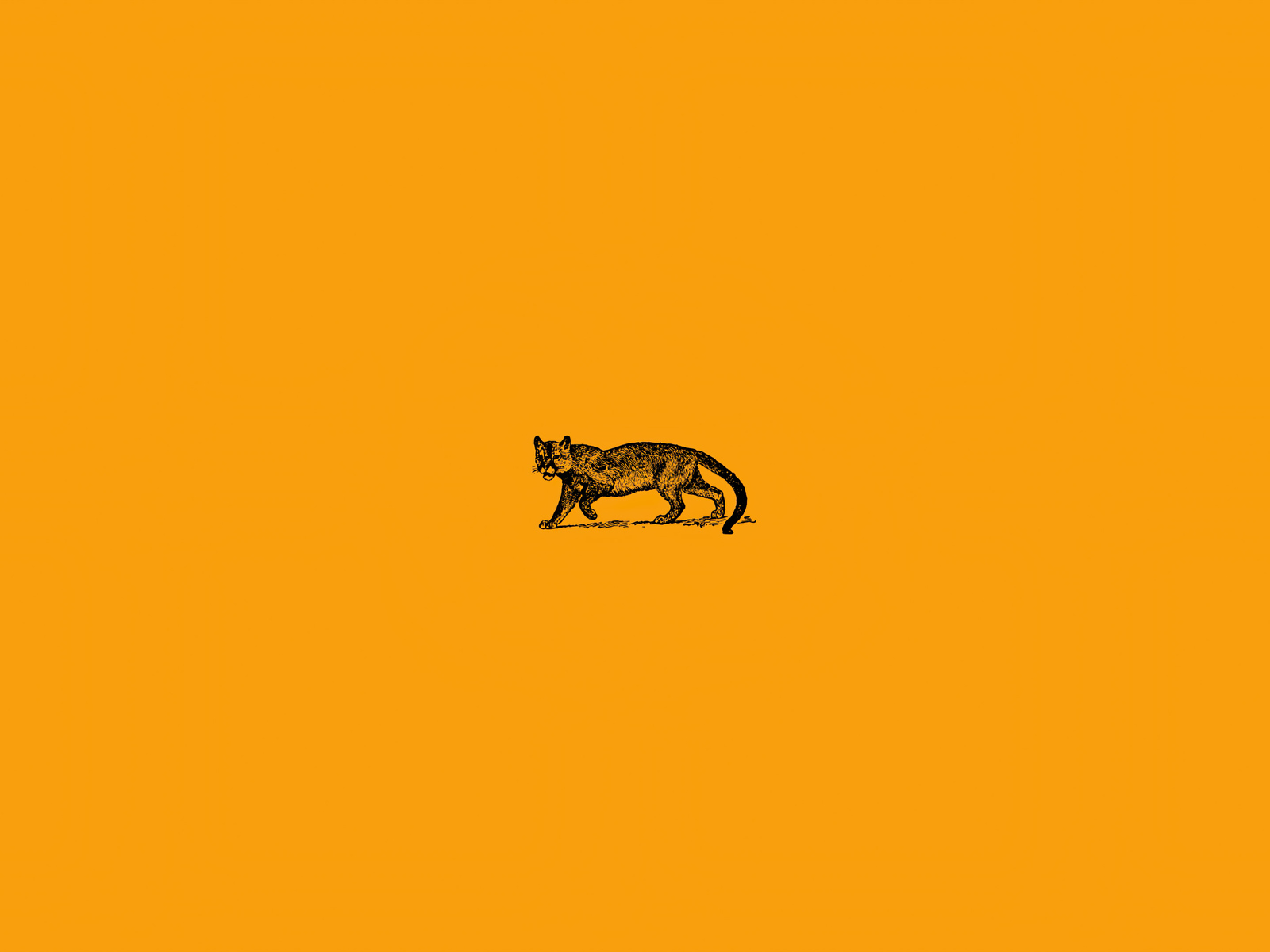 An illustration of a small cat-like animal on an orange background - Minimalist