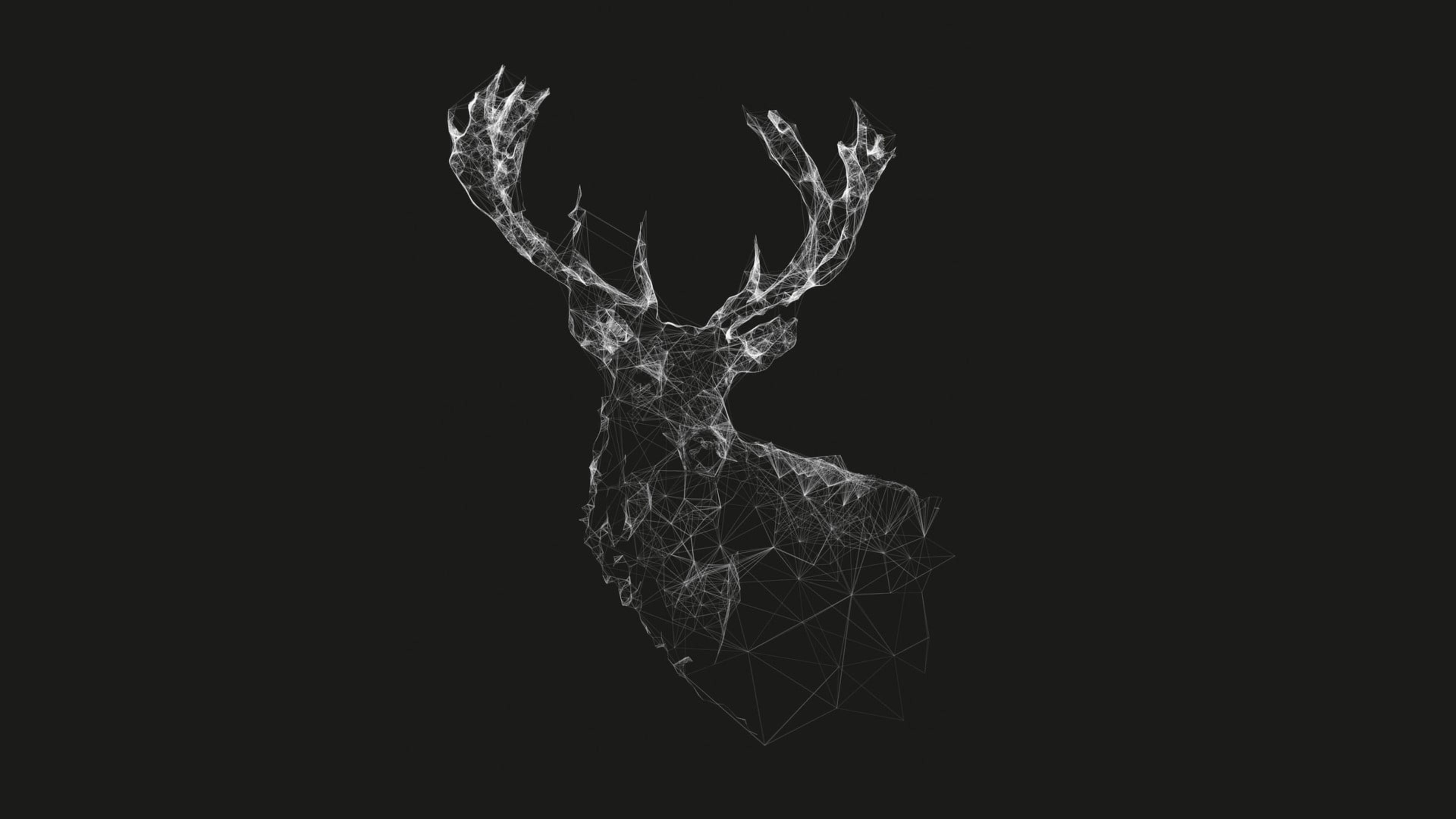 A digitally rendered image of a deer head made up of lines and dots - Deer, profile picture