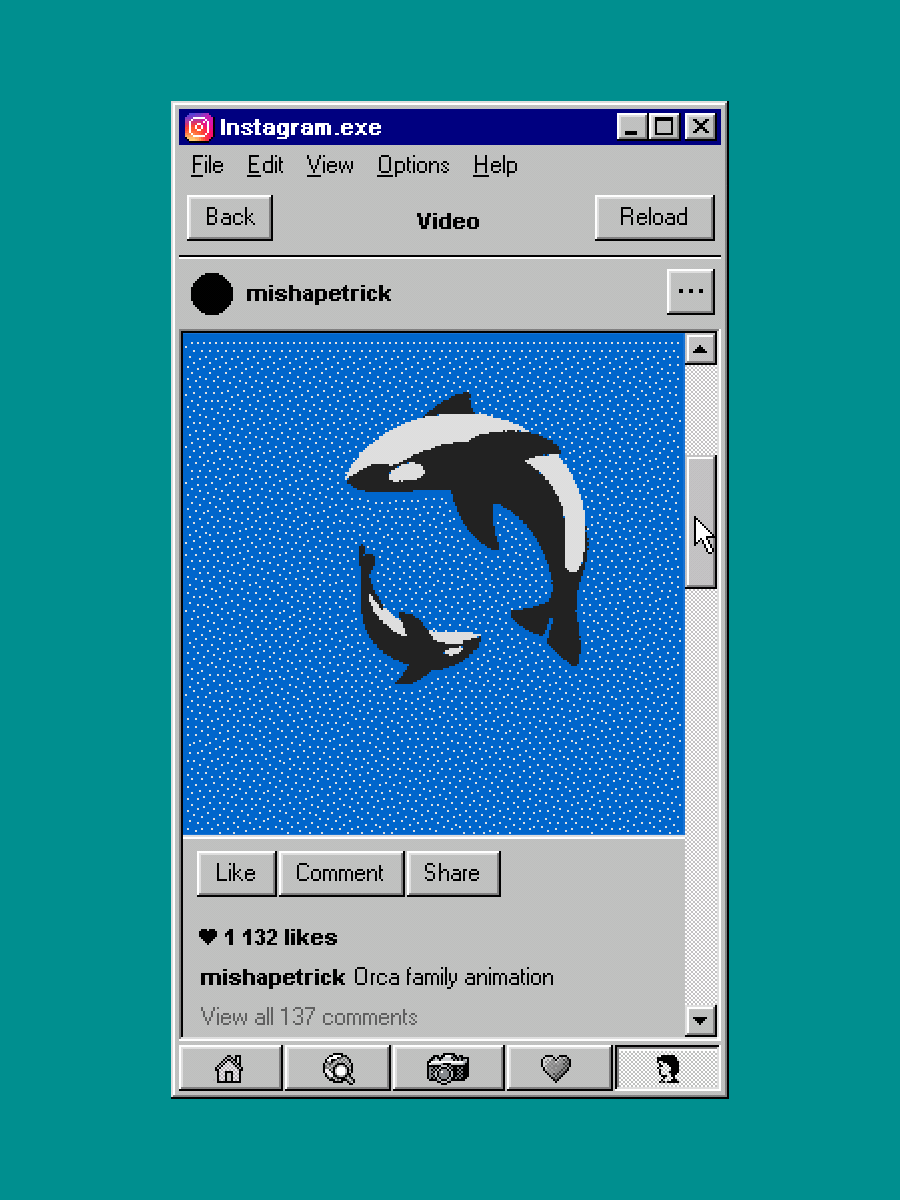 A computer screen with an image of two whales - Windows 95