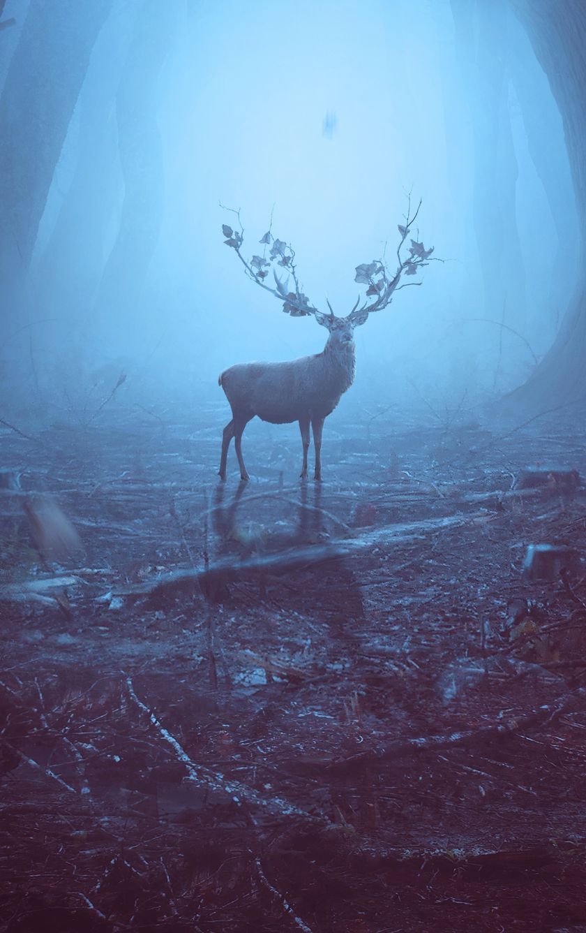 Download wallpaper 840x1336 into the woods, reindeer, wildlife, art, iphone iphone 5s, iphone 5c, ipod touch, 840x1336 HD background, 26464
