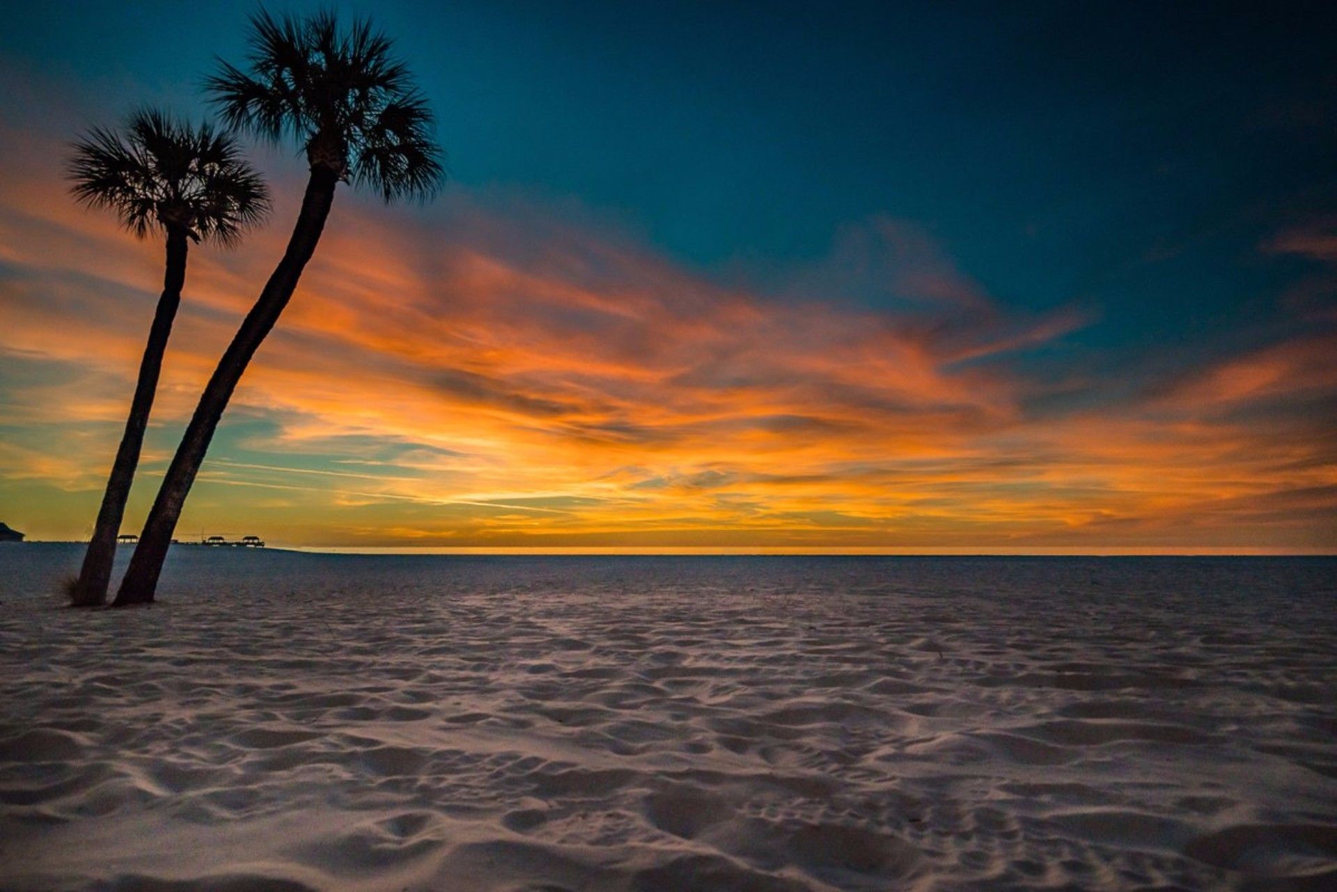 A sunset with palm trees on the beach - Florida