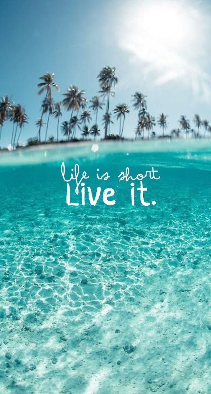 Life is short live it. - Florida