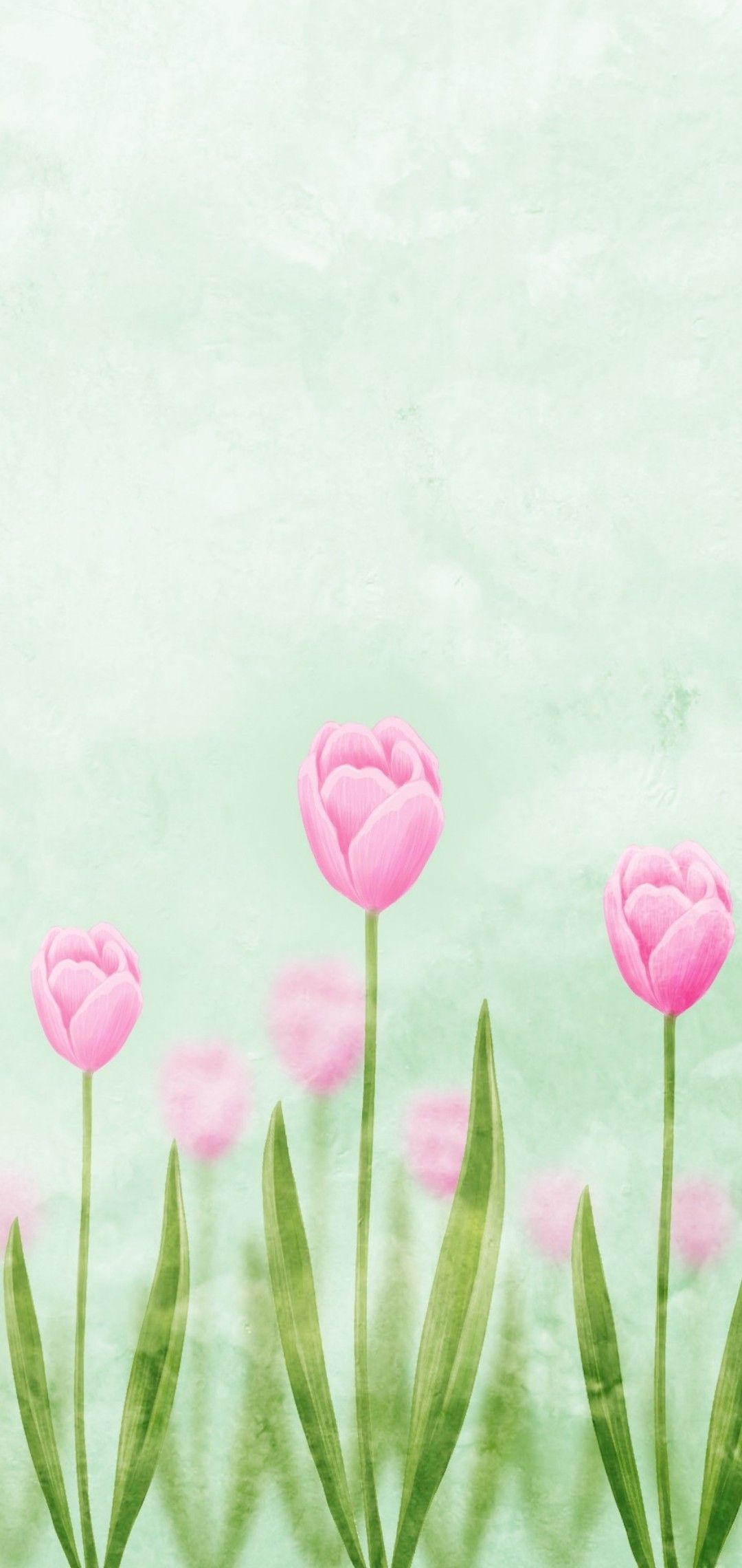 IPhone wallpaper with flowers. - Tulip