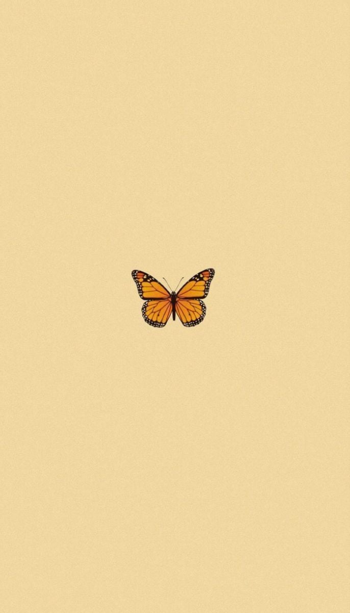 Butterfly on a yellow background, aesthetic backgrounds, wallpaper for phone - Pastel yellow, yellow iphone
