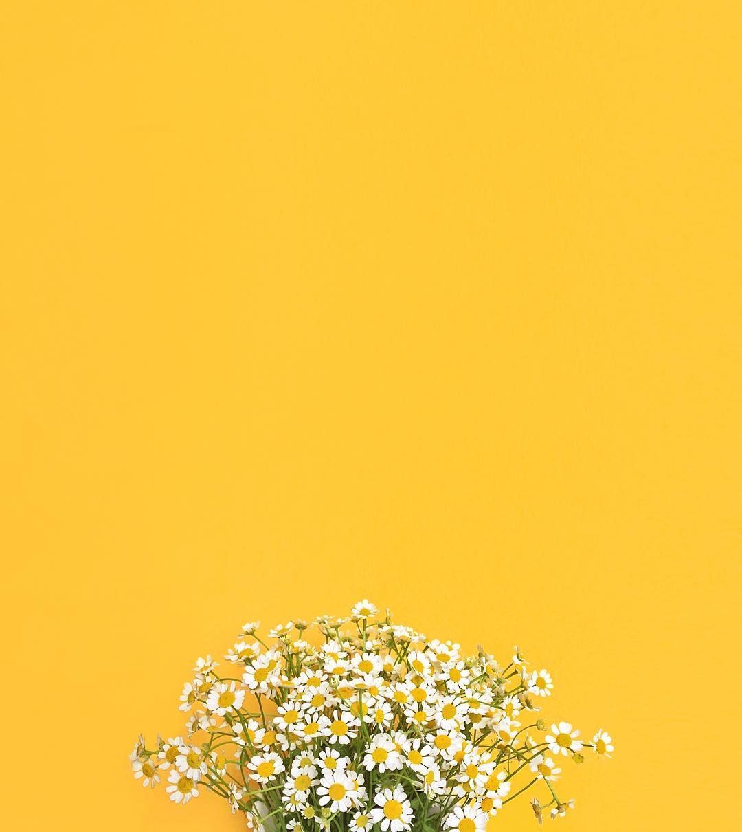 A vase of flowers sitting on top yellow background - Pastel yellow