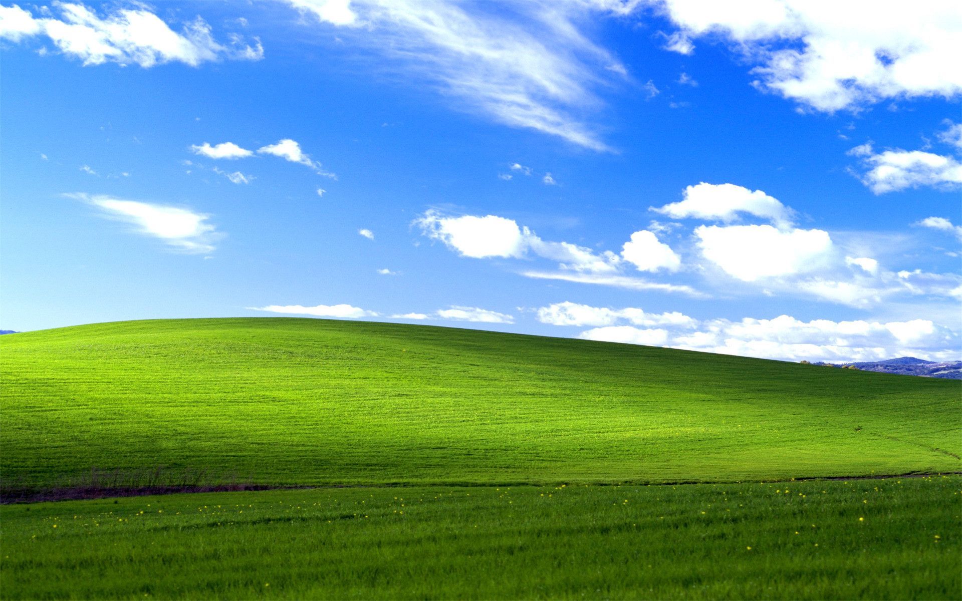 Windows 95 Desktop Background