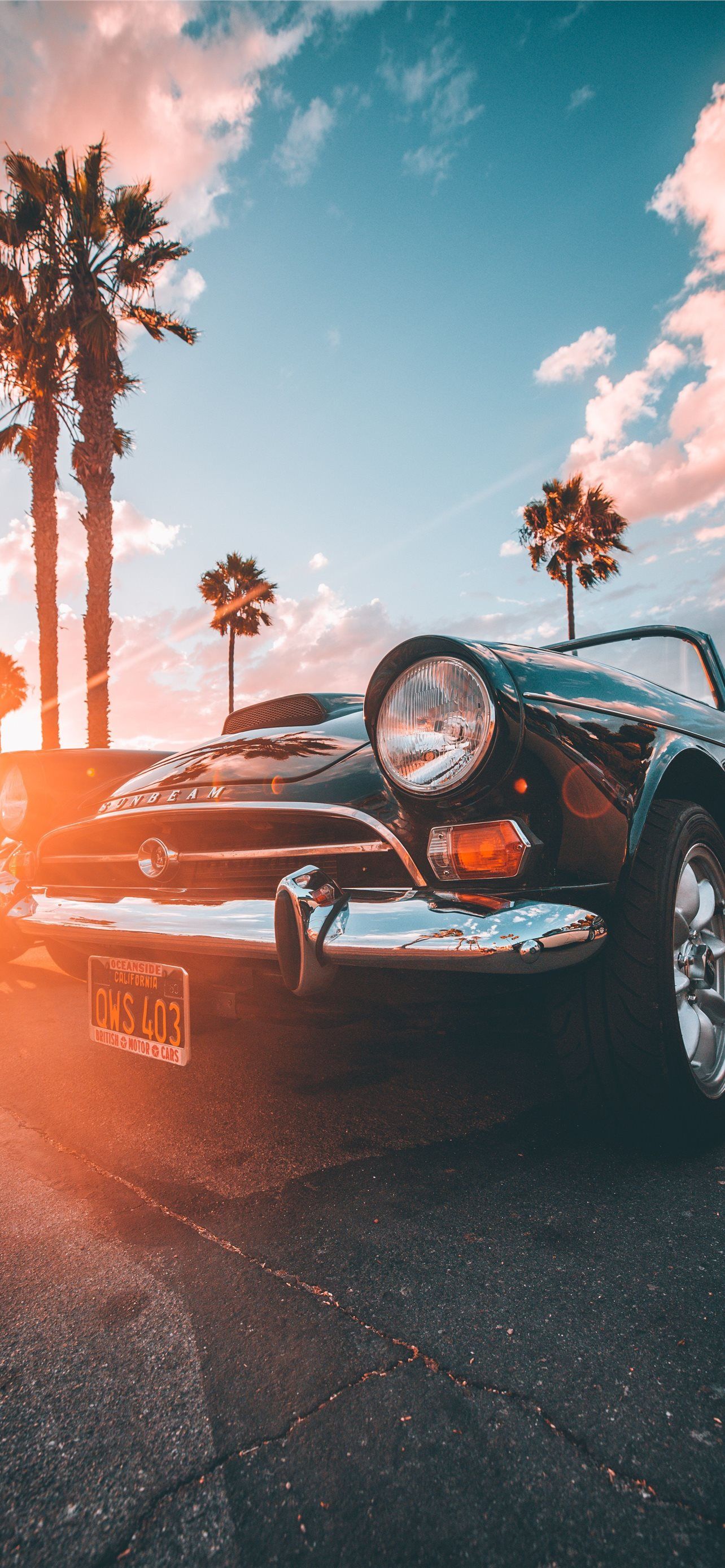 A car parked in front of palm trees - Cars, California, retro, 50s, vintage