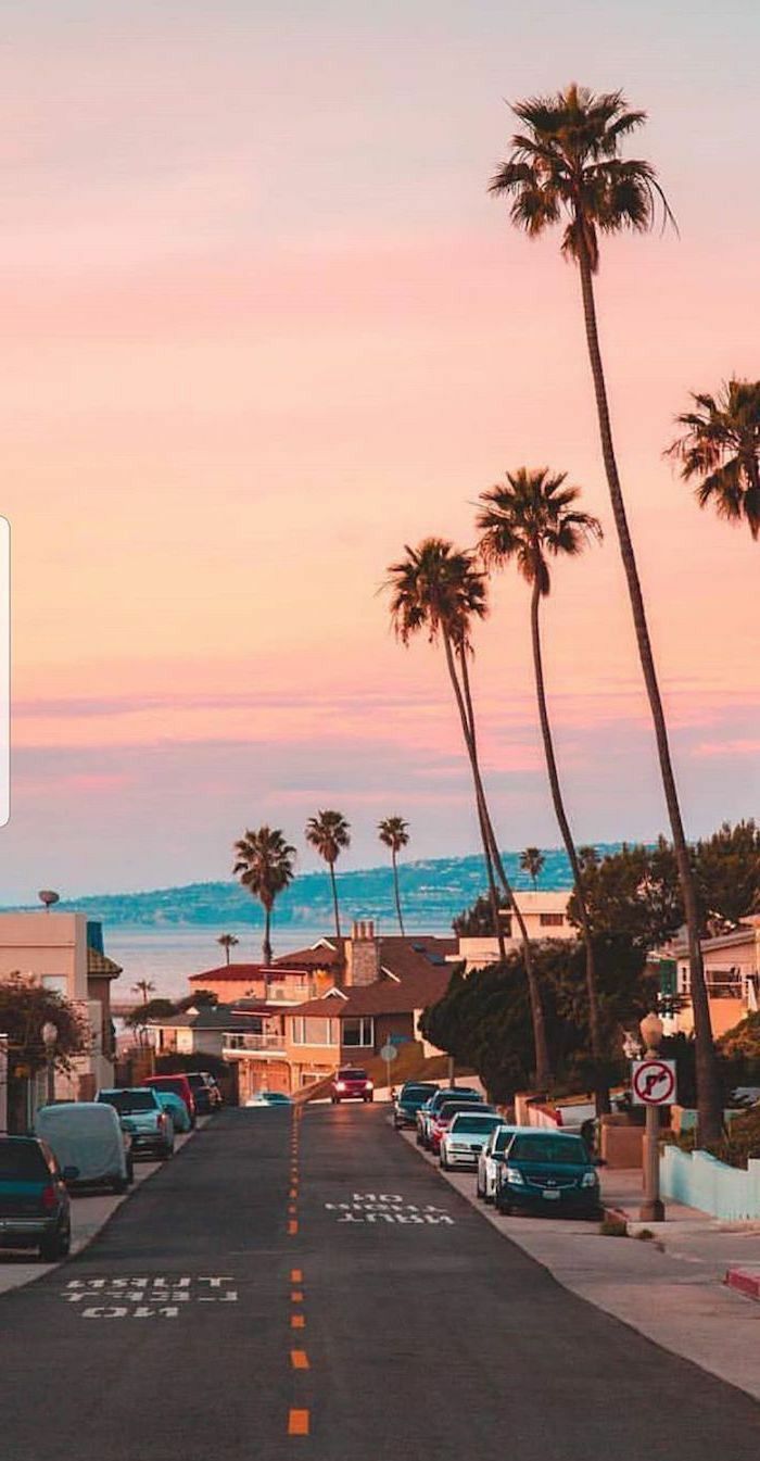 A street with parked cars, beach aesthetic background, tall palm trees - California