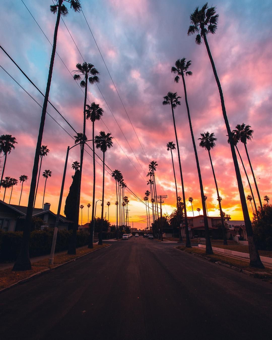 A street lined with palm trees at sunset - California