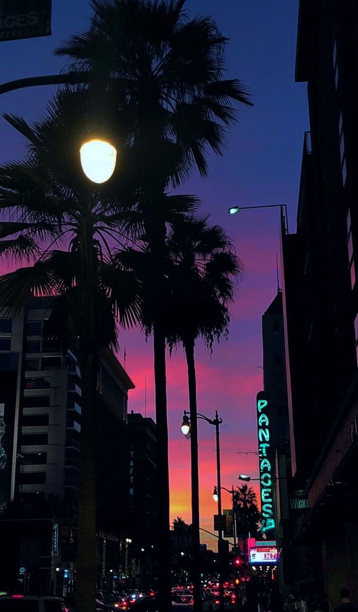 A city street with palm trees and traffic lights - California