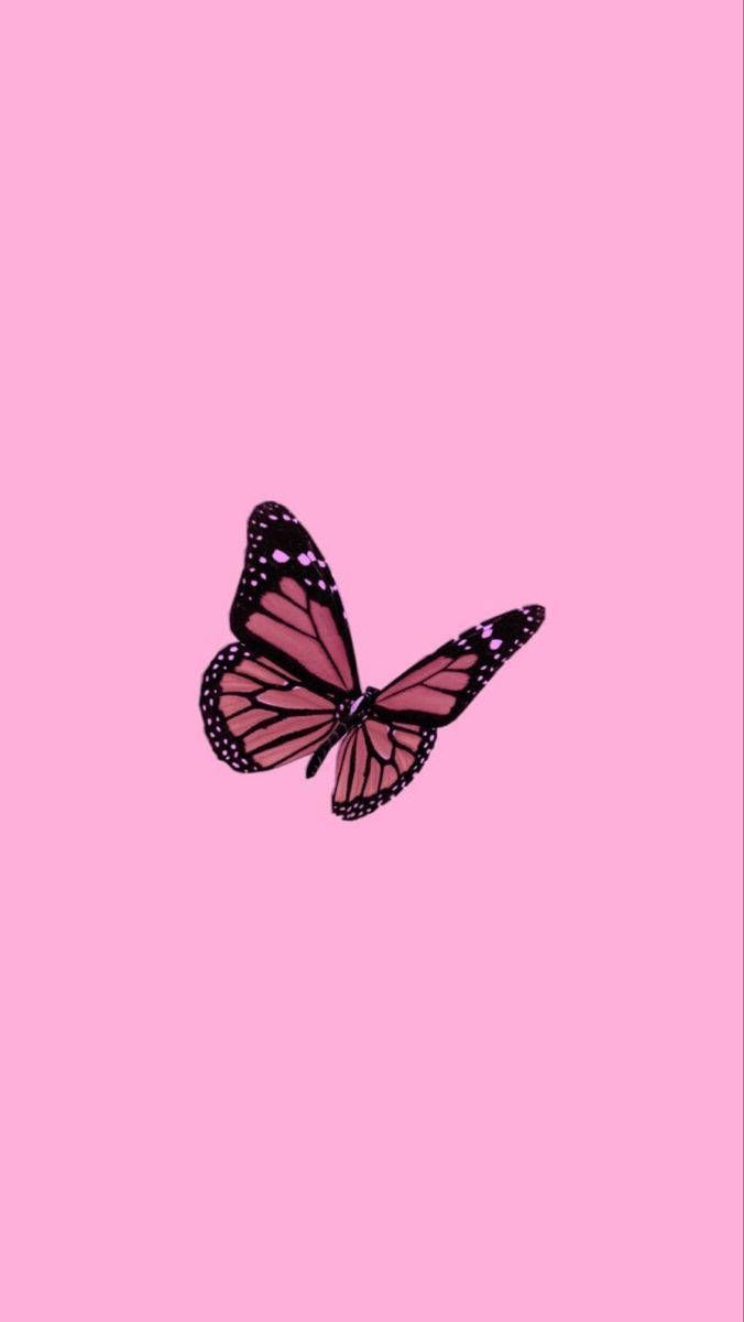 Pink butterfly wallpaper aesthetic background phone background - Y2K