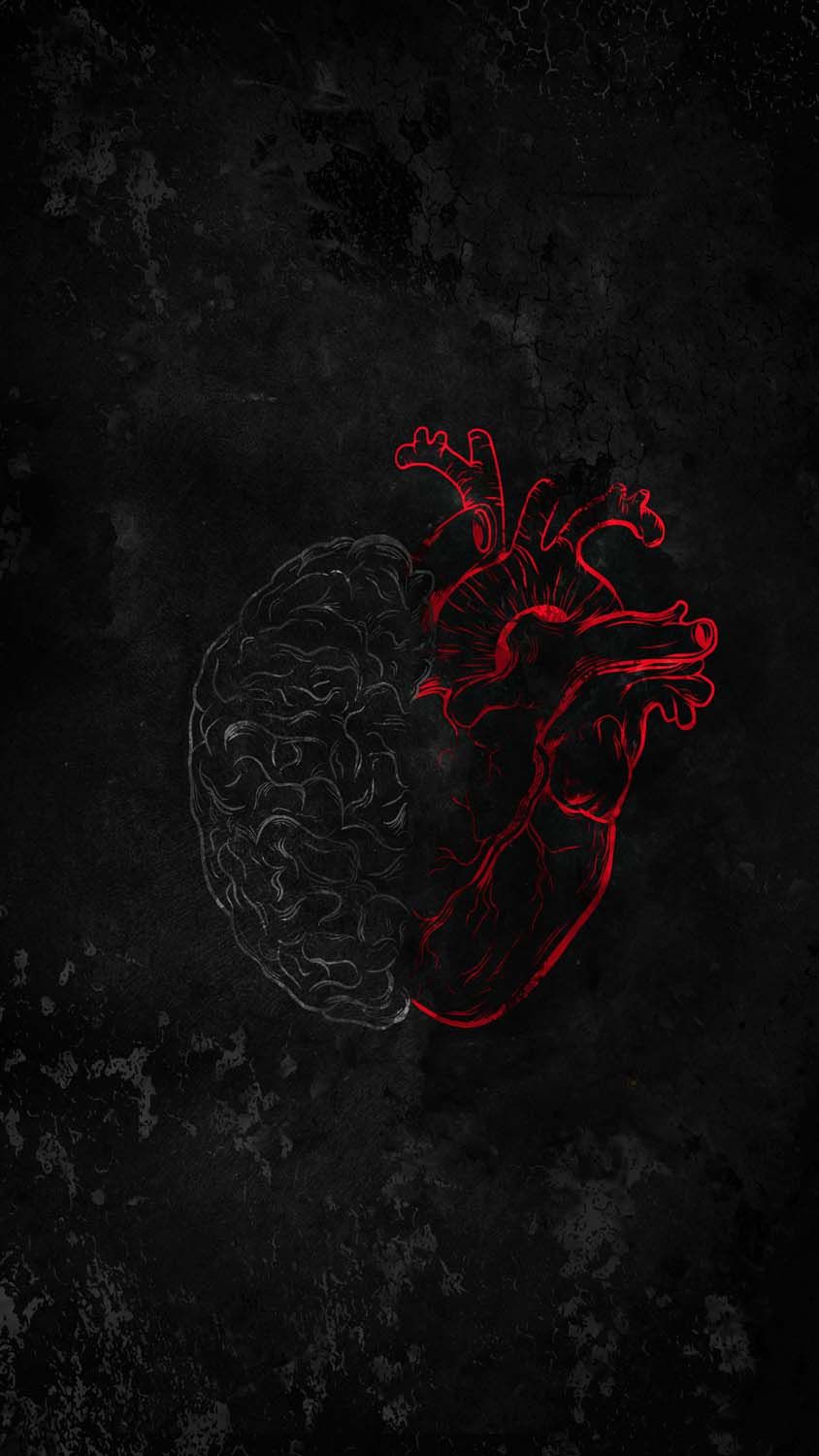 A black and red drawing of the heart - Heart
