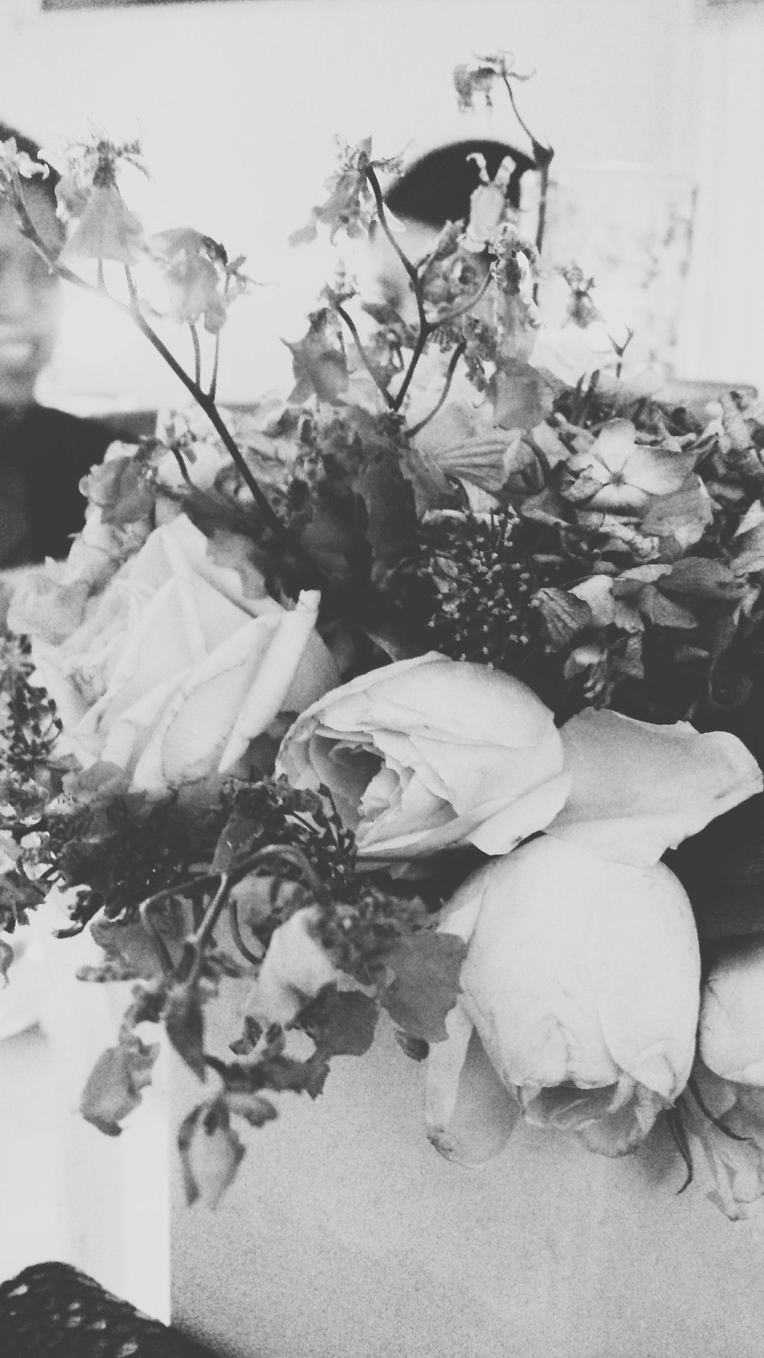 A black and white photo of a vase of flowers. - White, black rose
