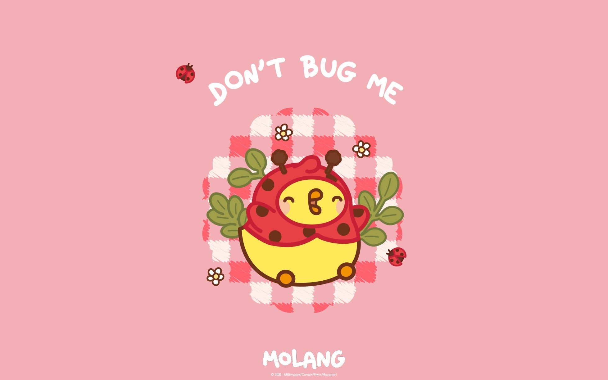 Wallpaper of molang the little ladybug - Chromebook