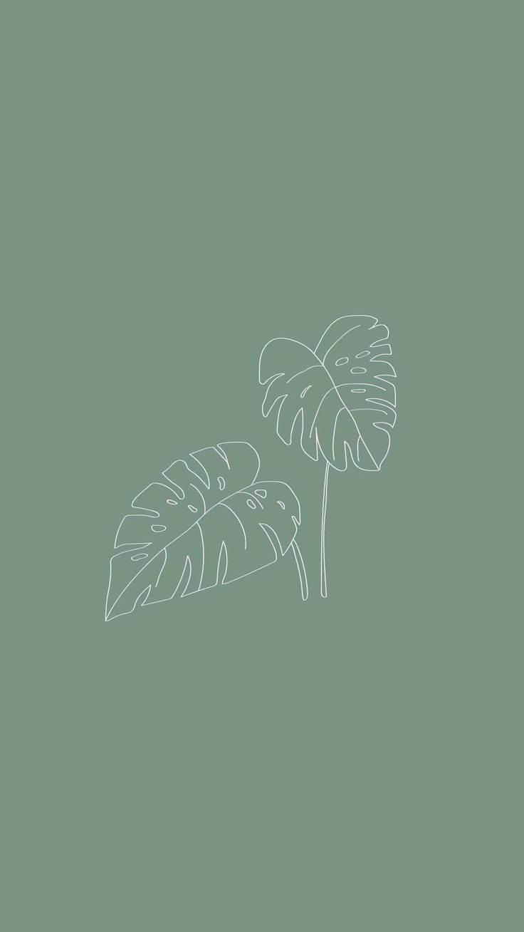 A line drawing of two leaves - Sage green