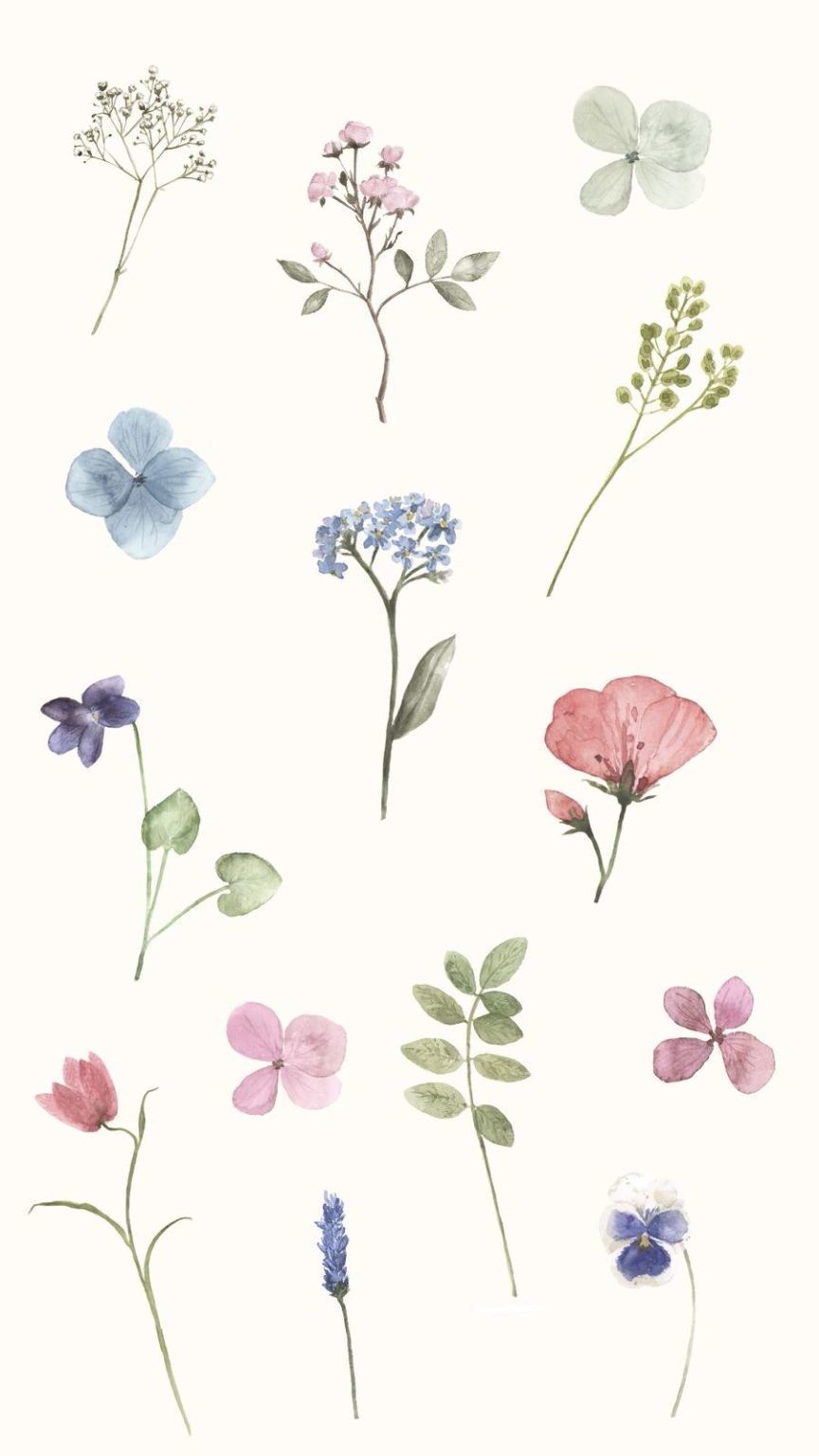 Aesthetic flowers to use as phone background. - Spring