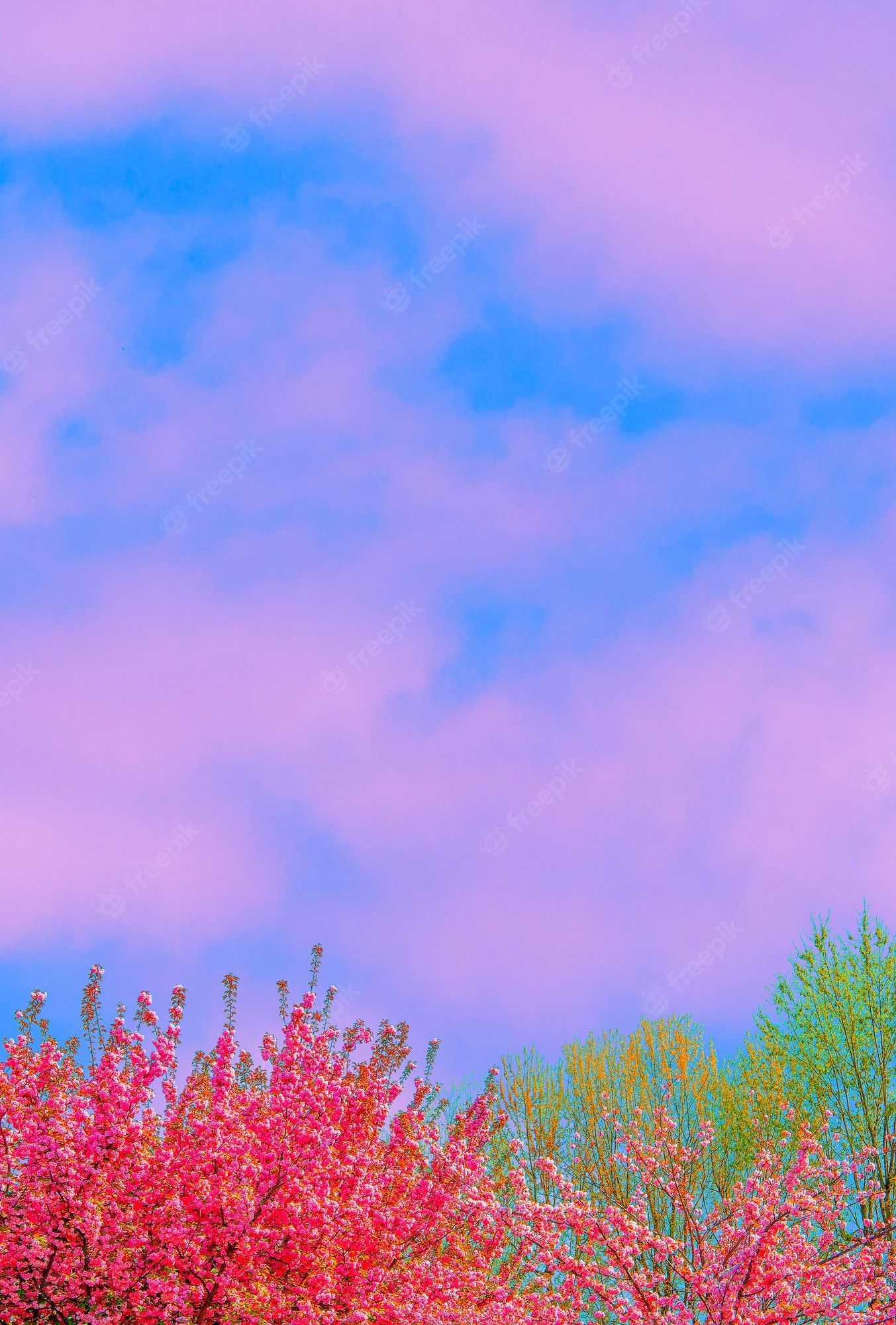 Aesthetic Spring Wallpaper Picture