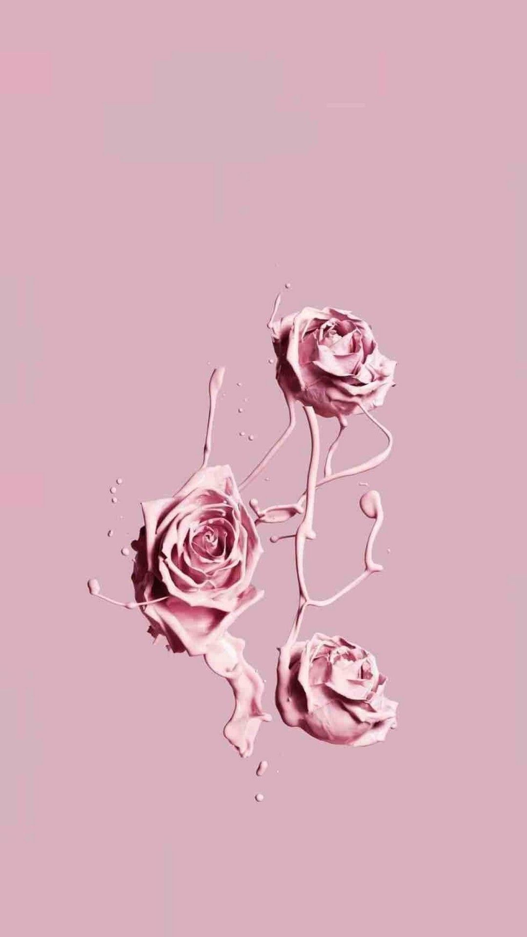 IPhone wallpaper of a rose with water droplets - Garden, rose gold, roses