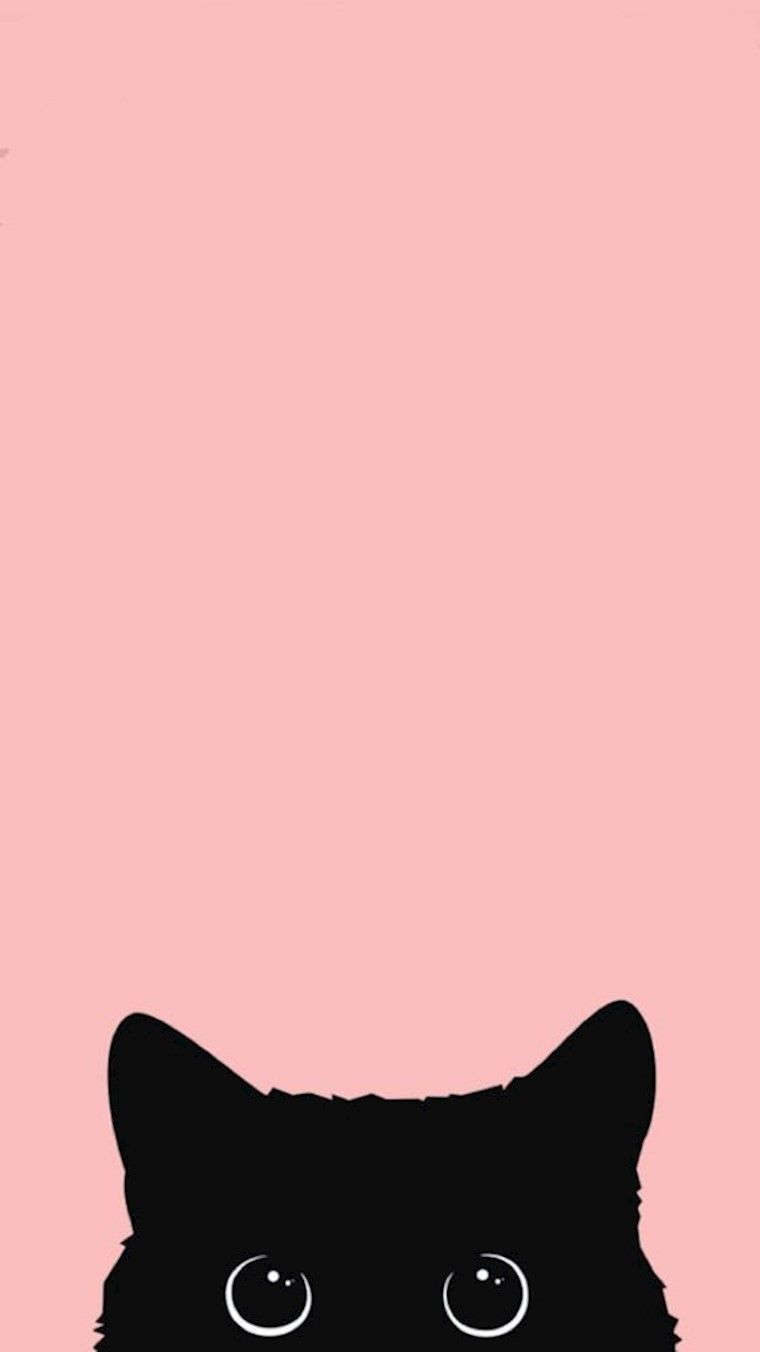 A black cat with big eyes on pink background - Cat