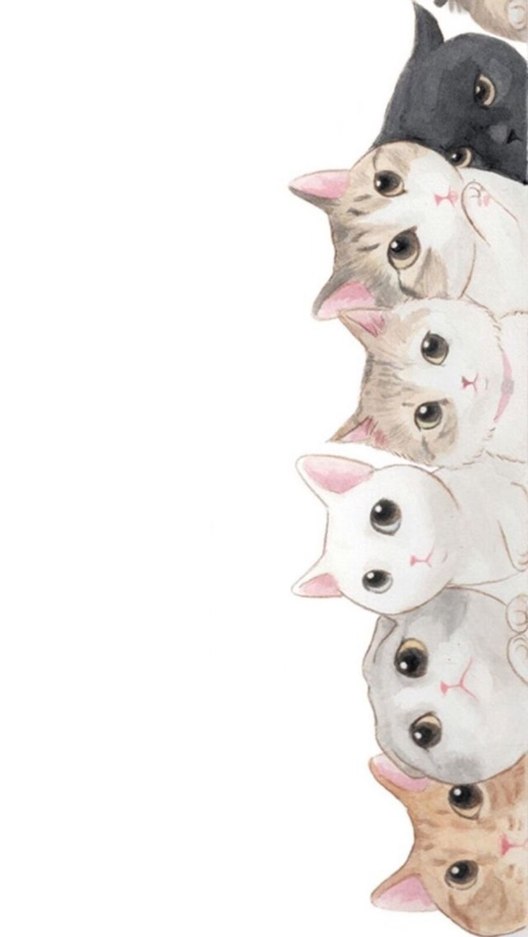 IPhone wallpaper of a row of cats in a line - Cat
