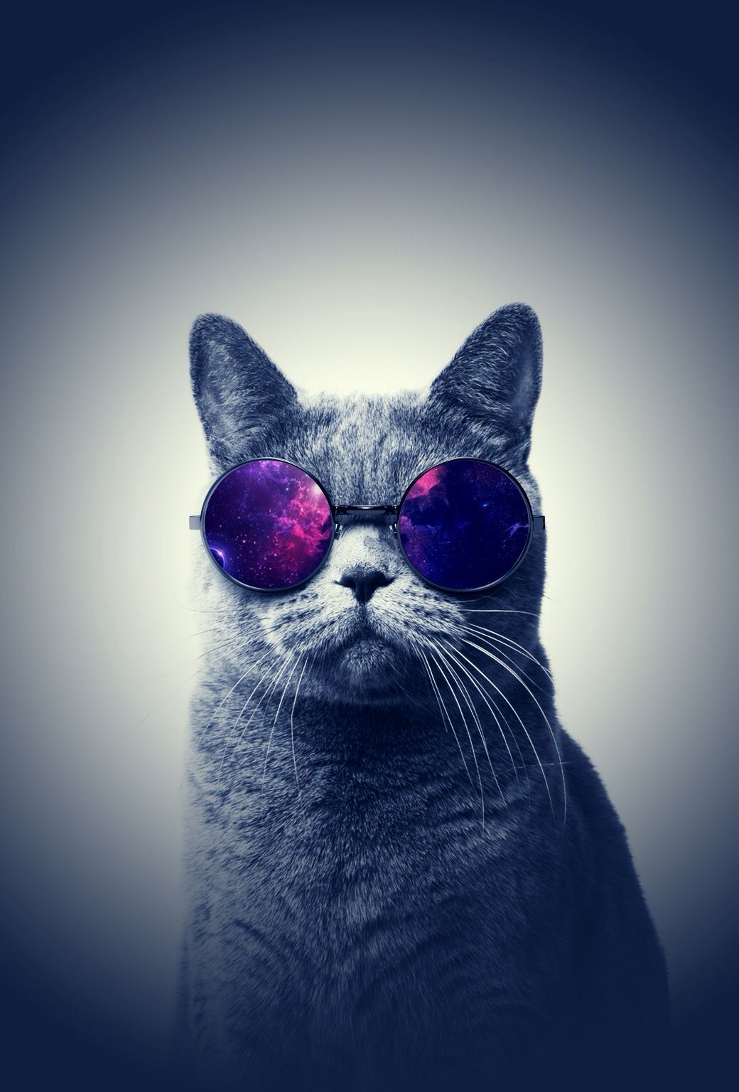 A cat wearing sunglasses with the reflection of the universe in them - Cat