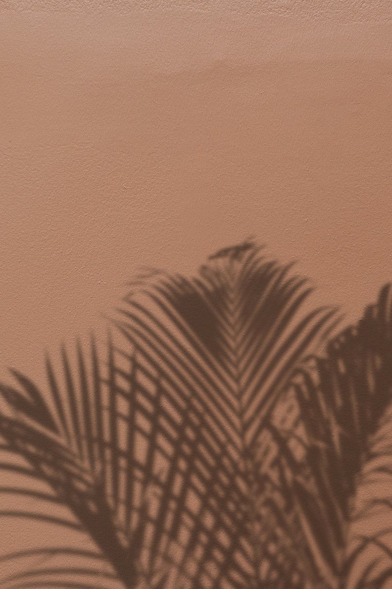 A shadow of palm trees on the wall - Light brown