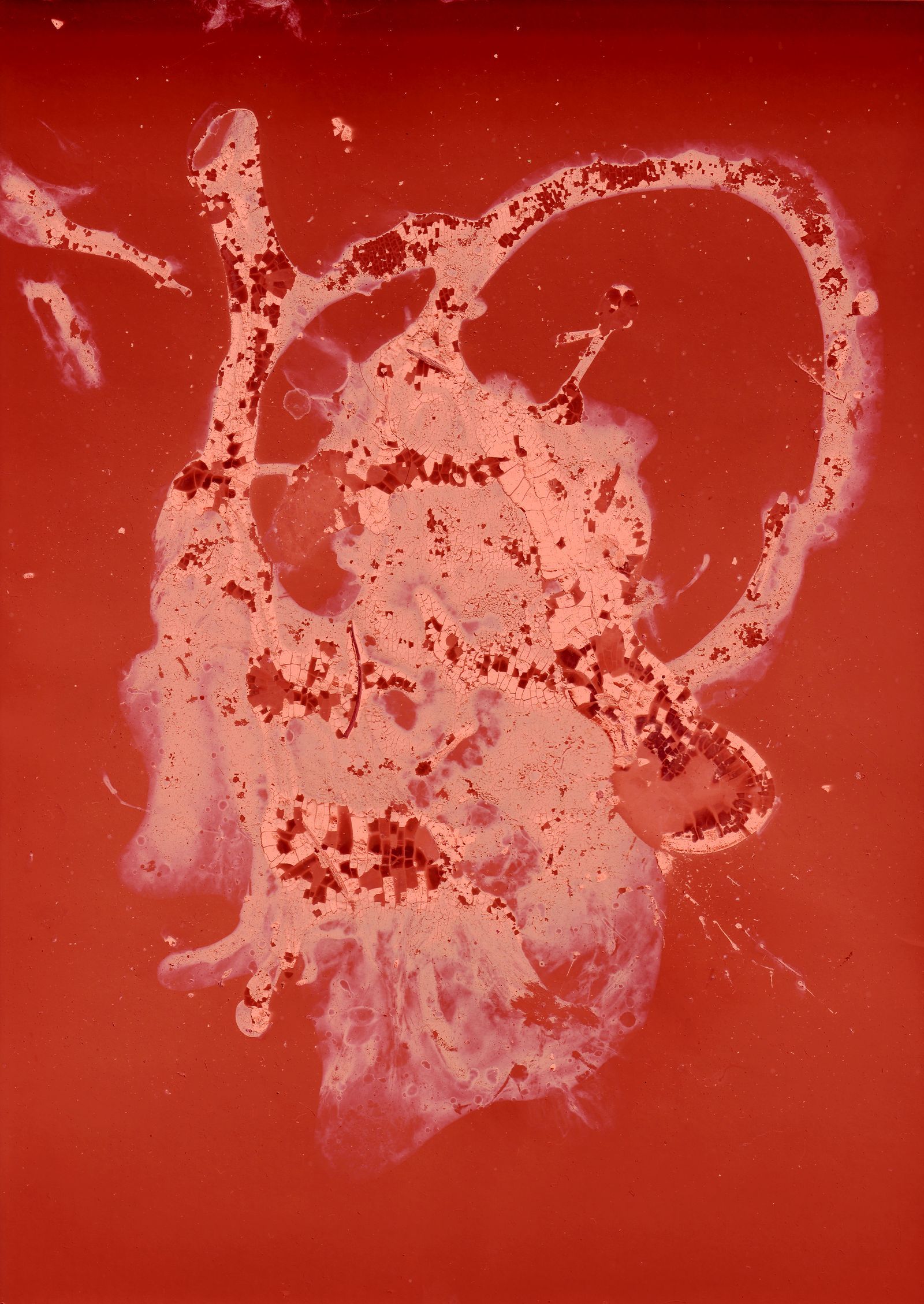 A red and white picture of an object - Blood
