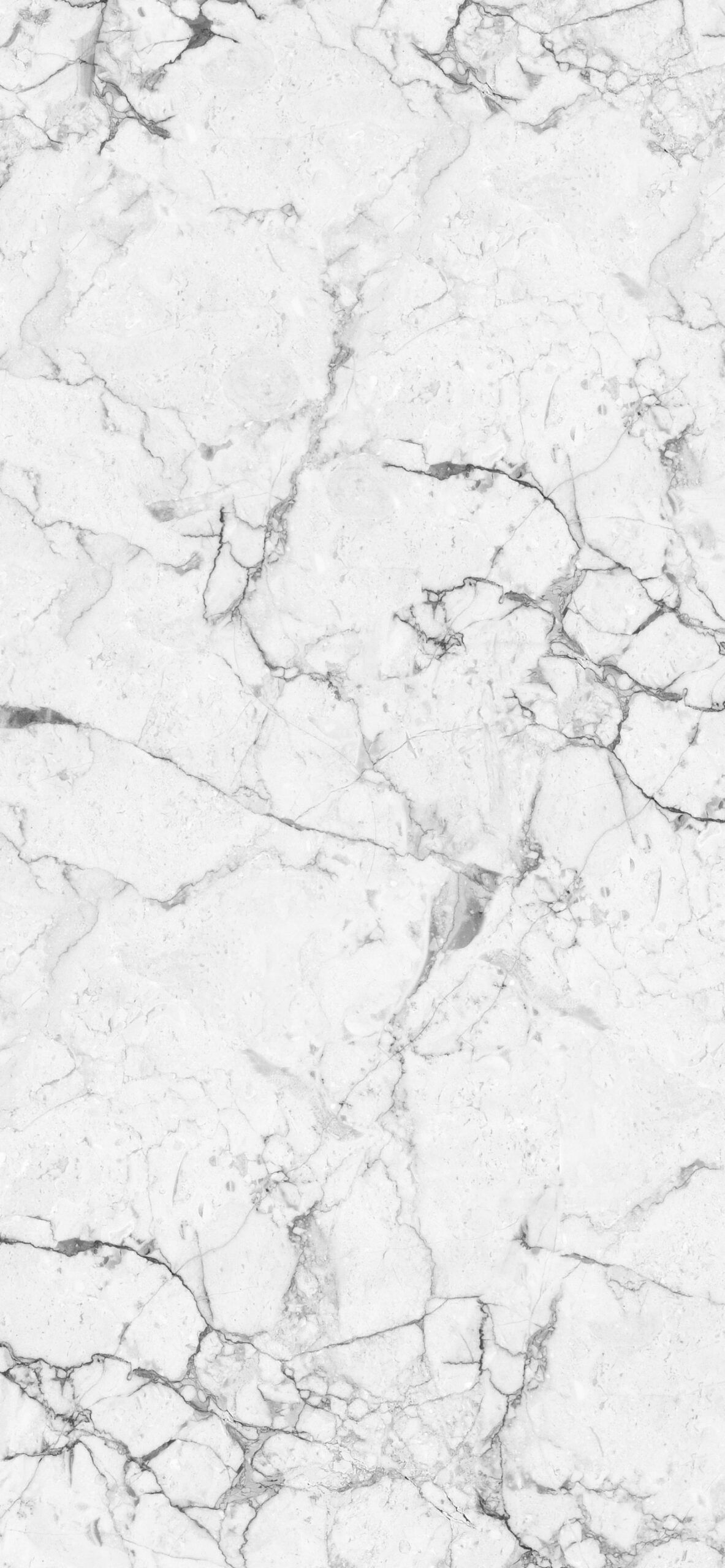 A white and grey marble texture background - Marble
