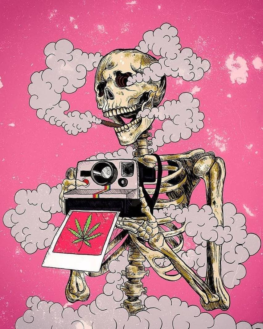 Skeleton holding a camera with a photo of a cannabis leaf - Weed