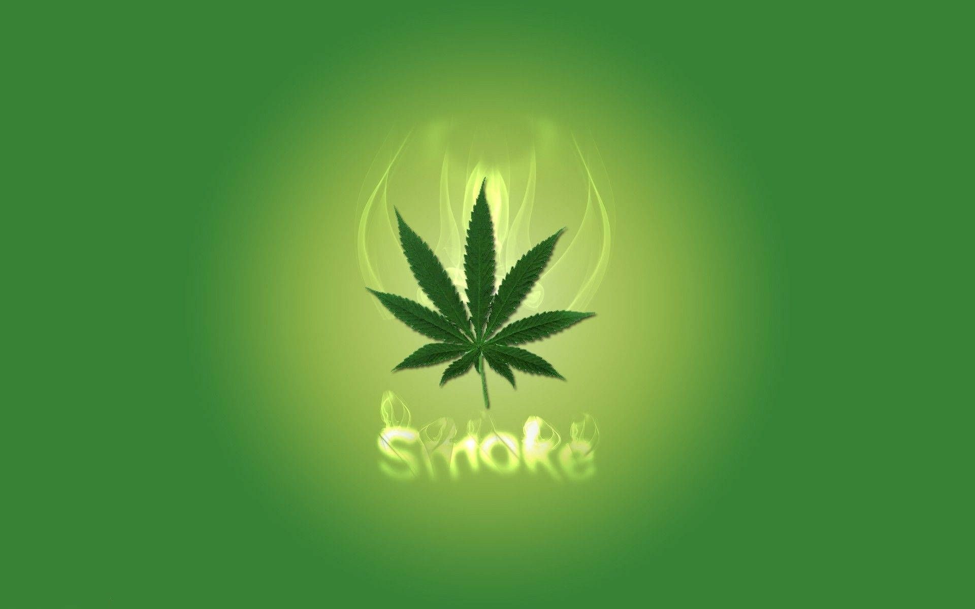 Cannabis wallpaper download free 1920x1200 all for desktop - Weed