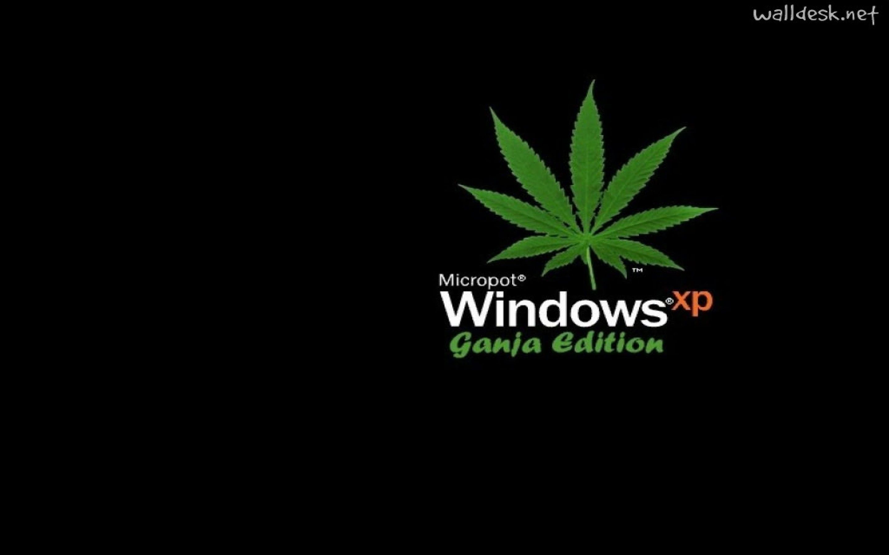 Free download Weed Wallpaper Marijuana De Pantalla 2880x1800 HD Weed Wallpaper [2880x1800] for your Desktop, Mobile & Tablet. Explore HD Kush Wallpaper. Kush Wallpaper, HD Wallpaper, HD Wallpaper