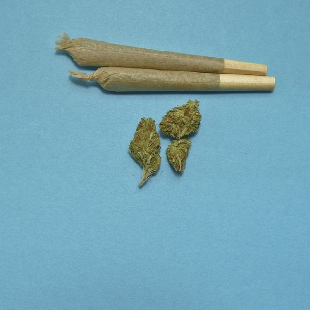 A pair of pre-rolled joints and a small amount of bud - Weed