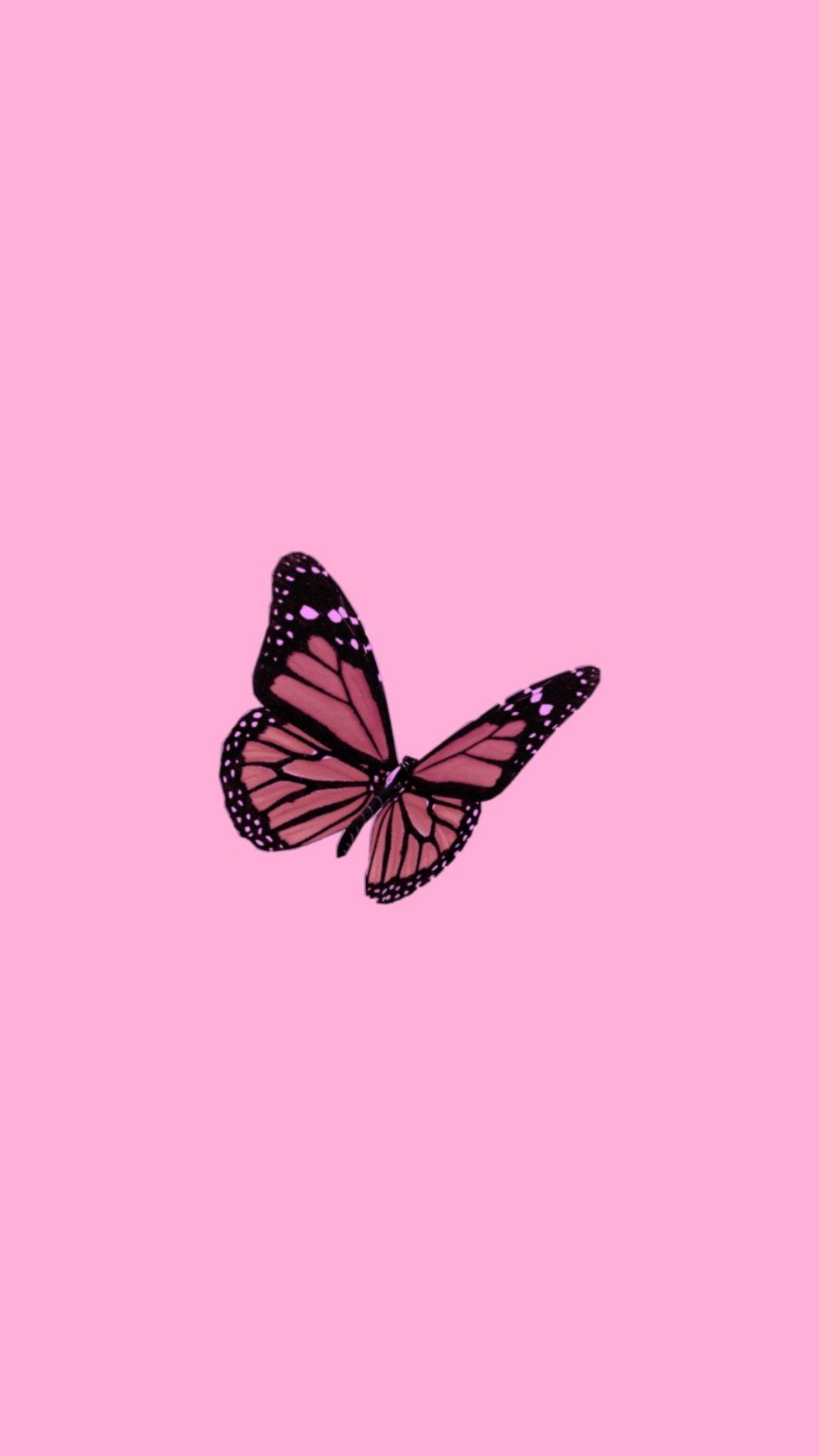 Aesthetic butterfly wallpaper for phone background. - Rose gold