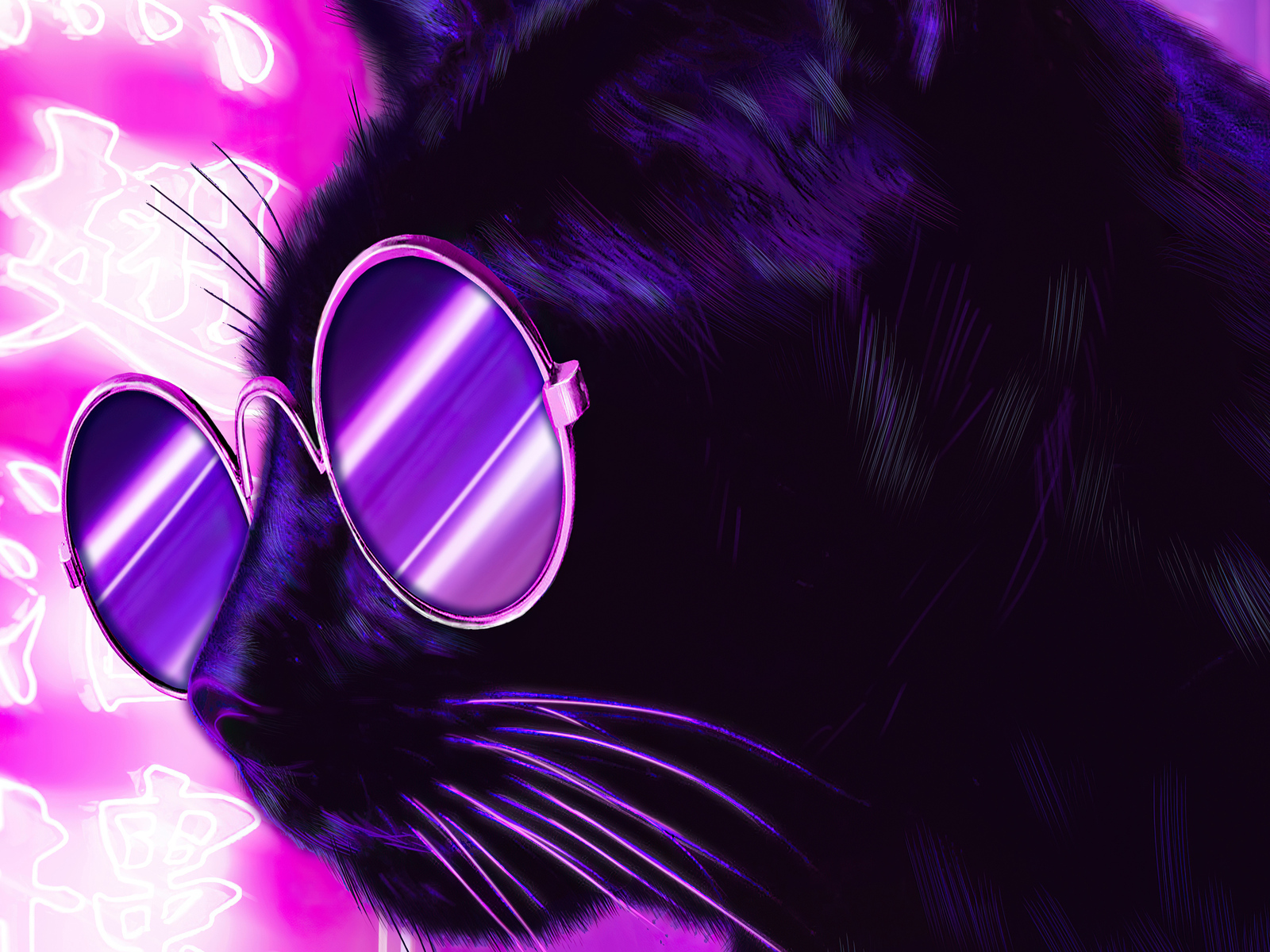A cat wearing sunglasses with pink and purple background - Neon purple