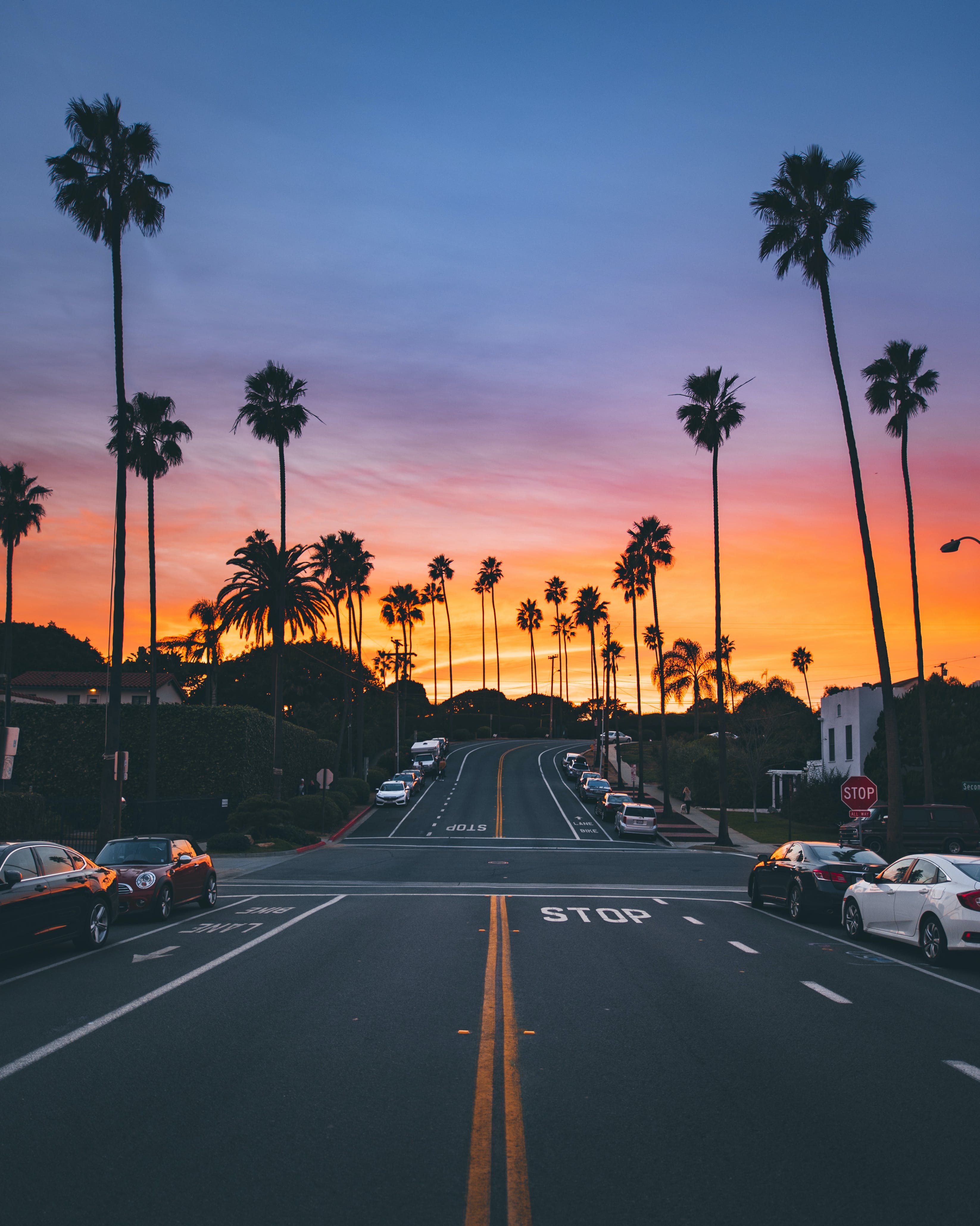 A sunset view of a street lined with palm trees in California. - Travel