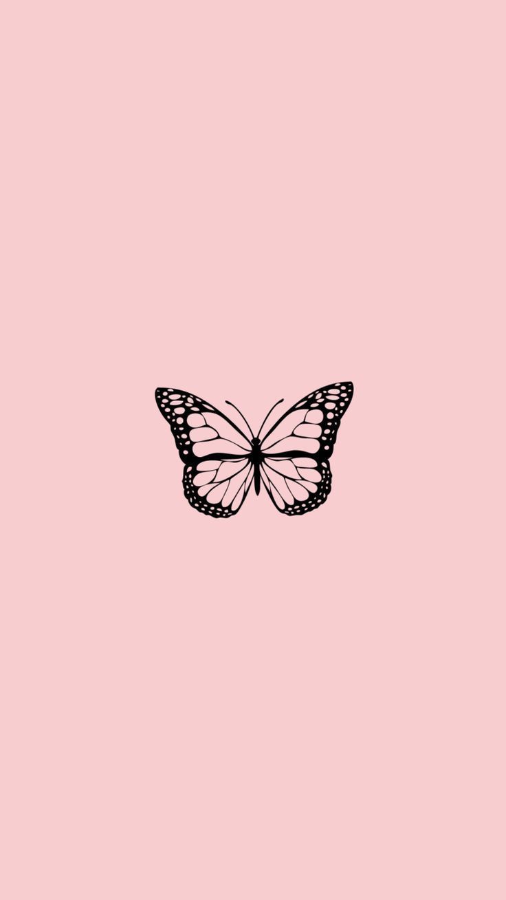A black butterfly on pink background - Pastel pink, iPhone, pink, cute, cute iPhone, Apple Watch, couple, pink phone, butterfly