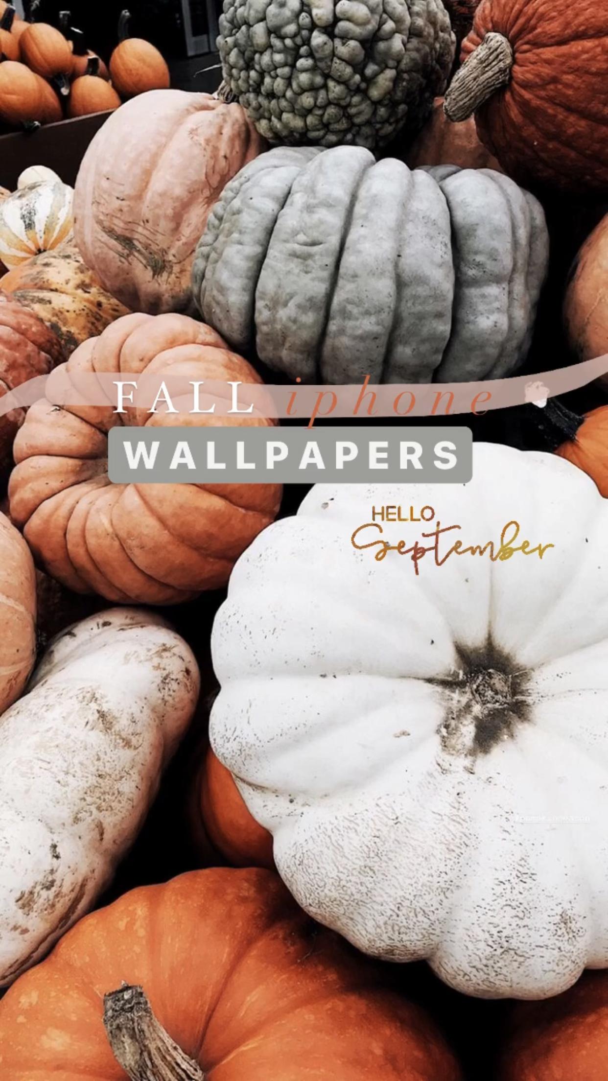 Fall in love with these fall phone wallpapers! Hello September! - September, pumpkin, fall, orange, fall iPhone, spooky