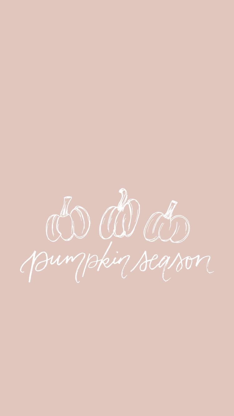 Pumpkin season logo design - IPhone, spooky, fall iPhone, September