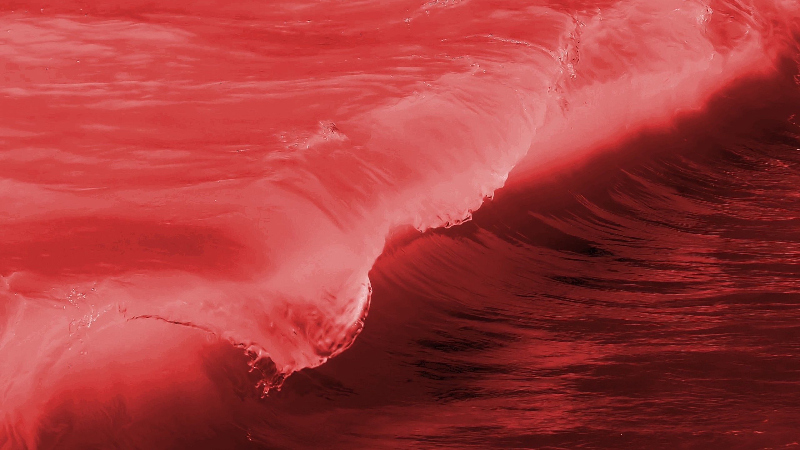A surfer riding the waves in red water - Wave