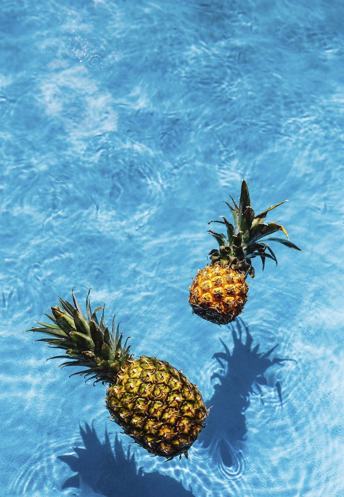 Two pineapples floating in a blue pool - Tropical