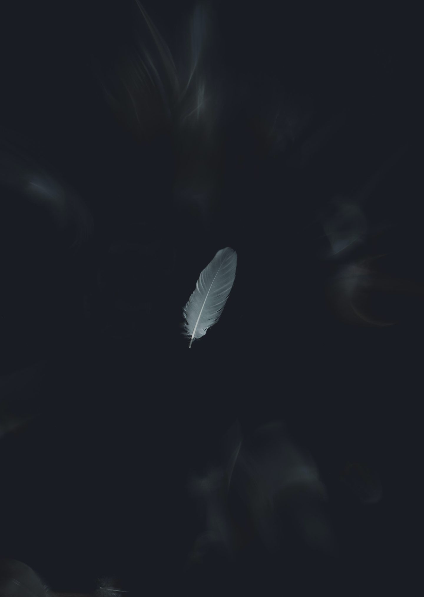 A white feather floating in the dark. - Dark, dark phone