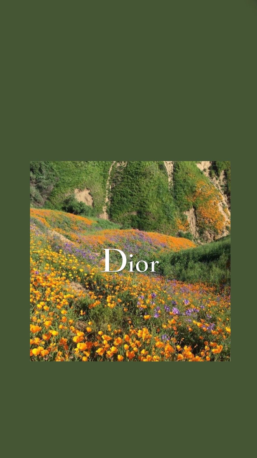 Flower Field Dior Wallpaper. Iconic wallpaper, Aesthetic desktop wallpaper, Aesthetic wallpaper