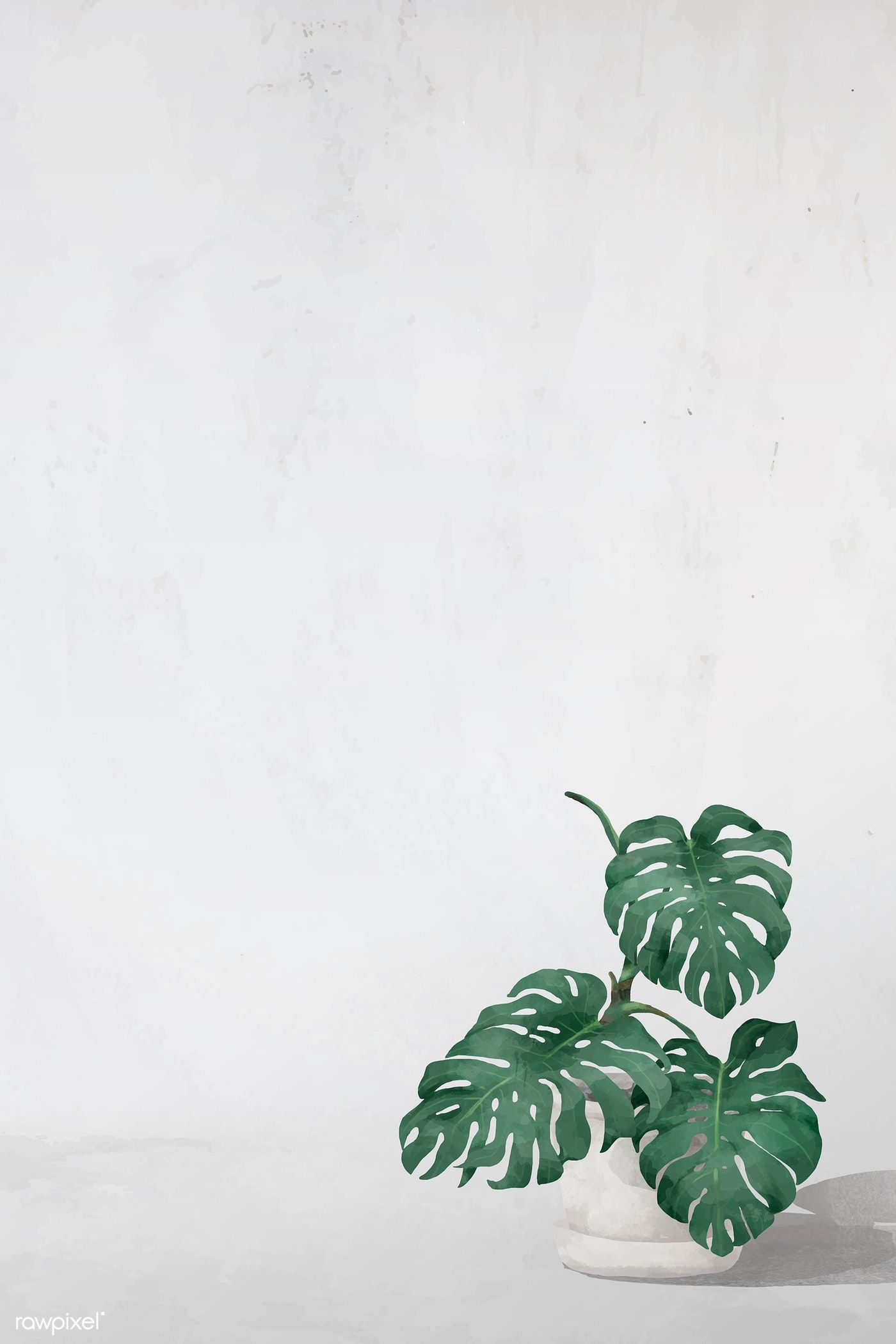 Blank monstera leaves frame vector. premium image / NingZk V. Watercolour texture background, Plant wallpaper, Plant illustration