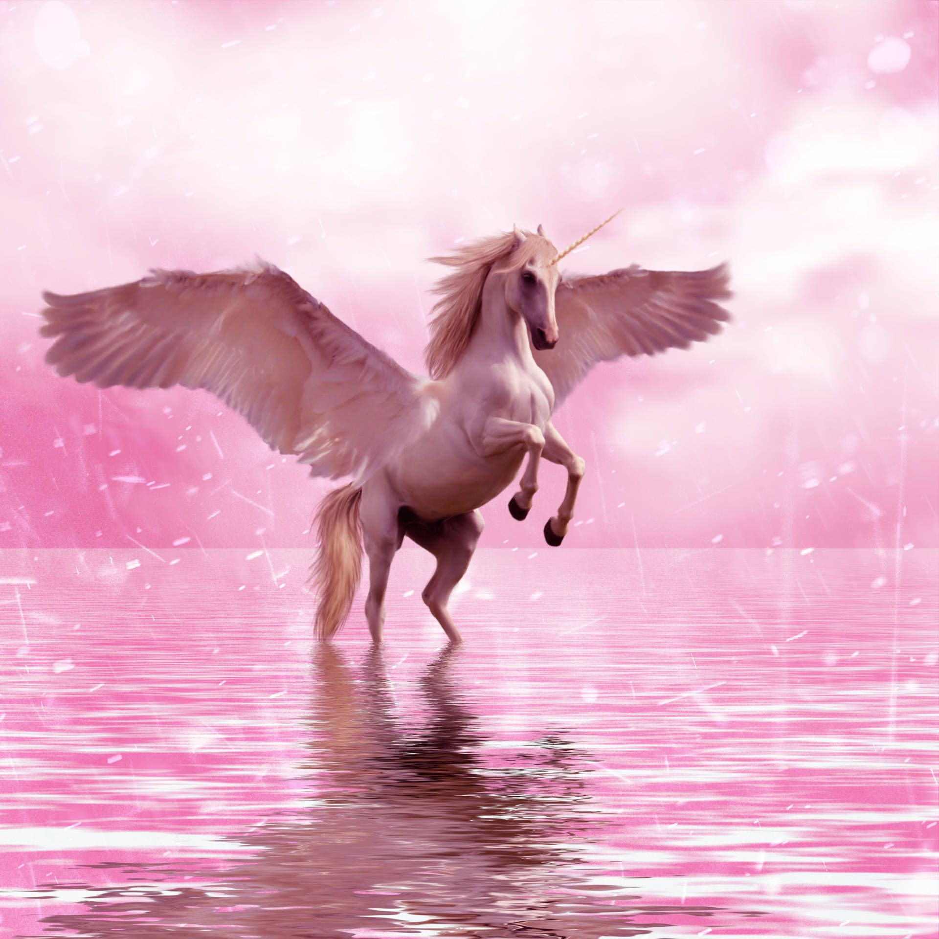 A unicorn is standing in the water - Unicorn