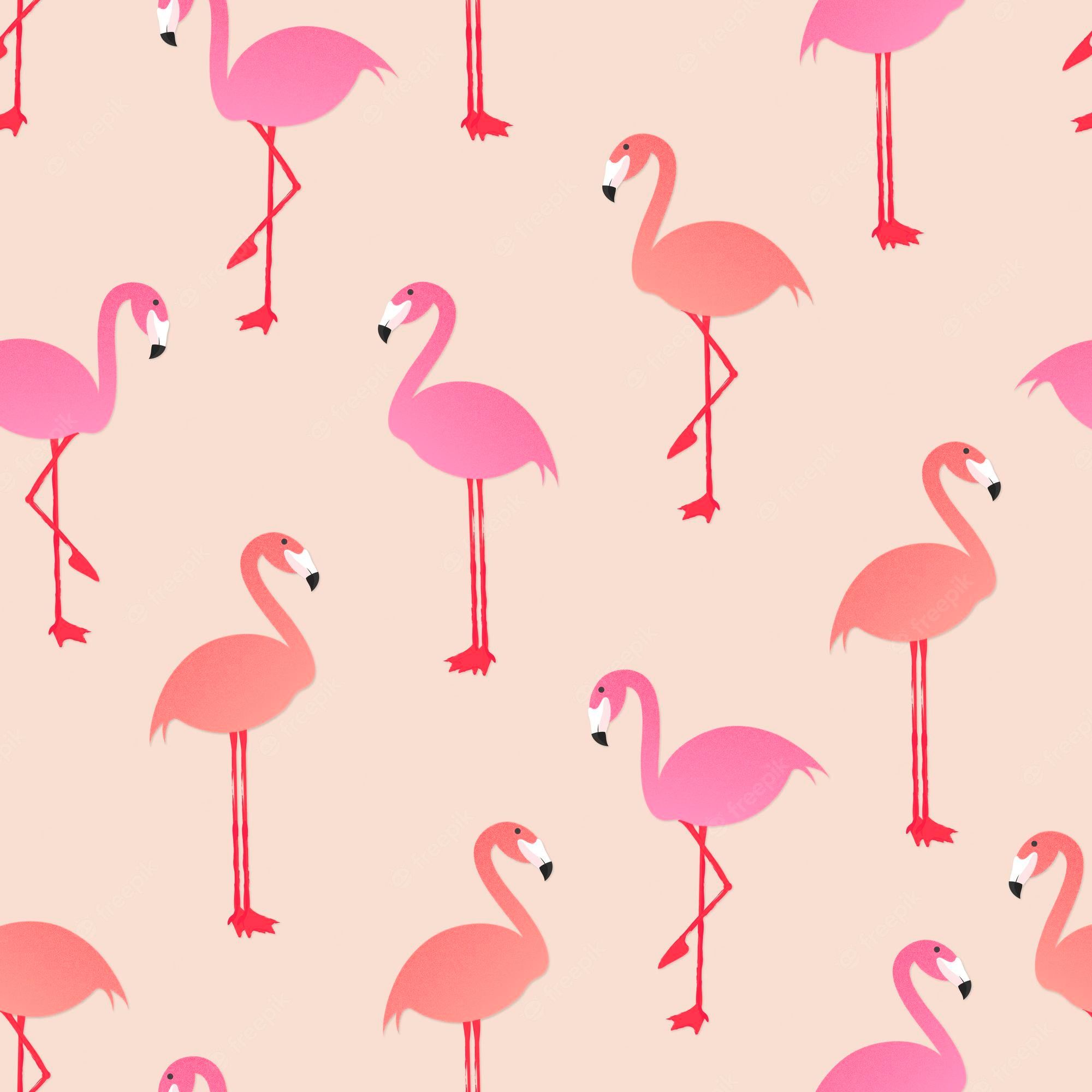 Pink Flamingo Pattern Image